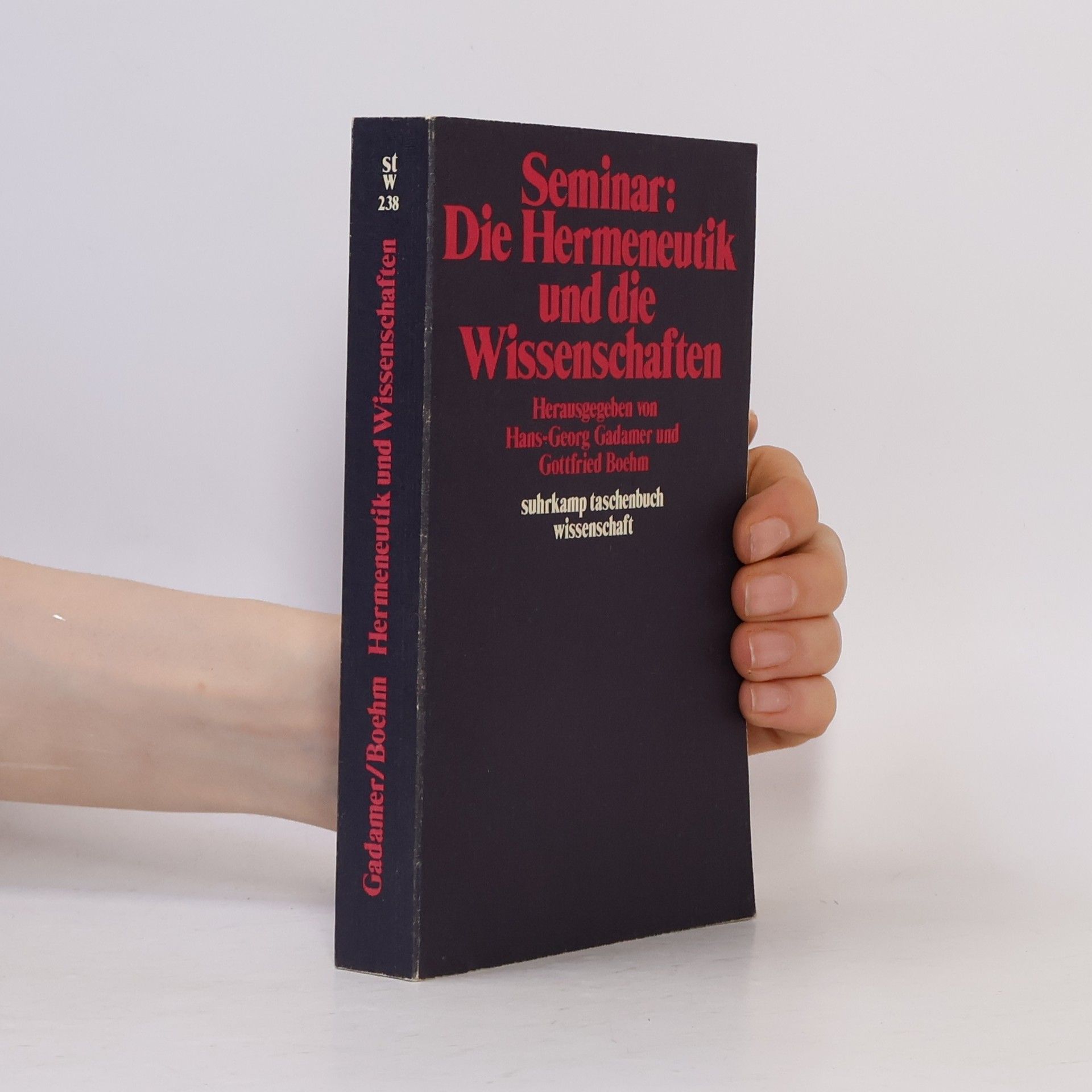 Hans Günter Holl Seminar: Die Hermeneutik und die Wissenschaften