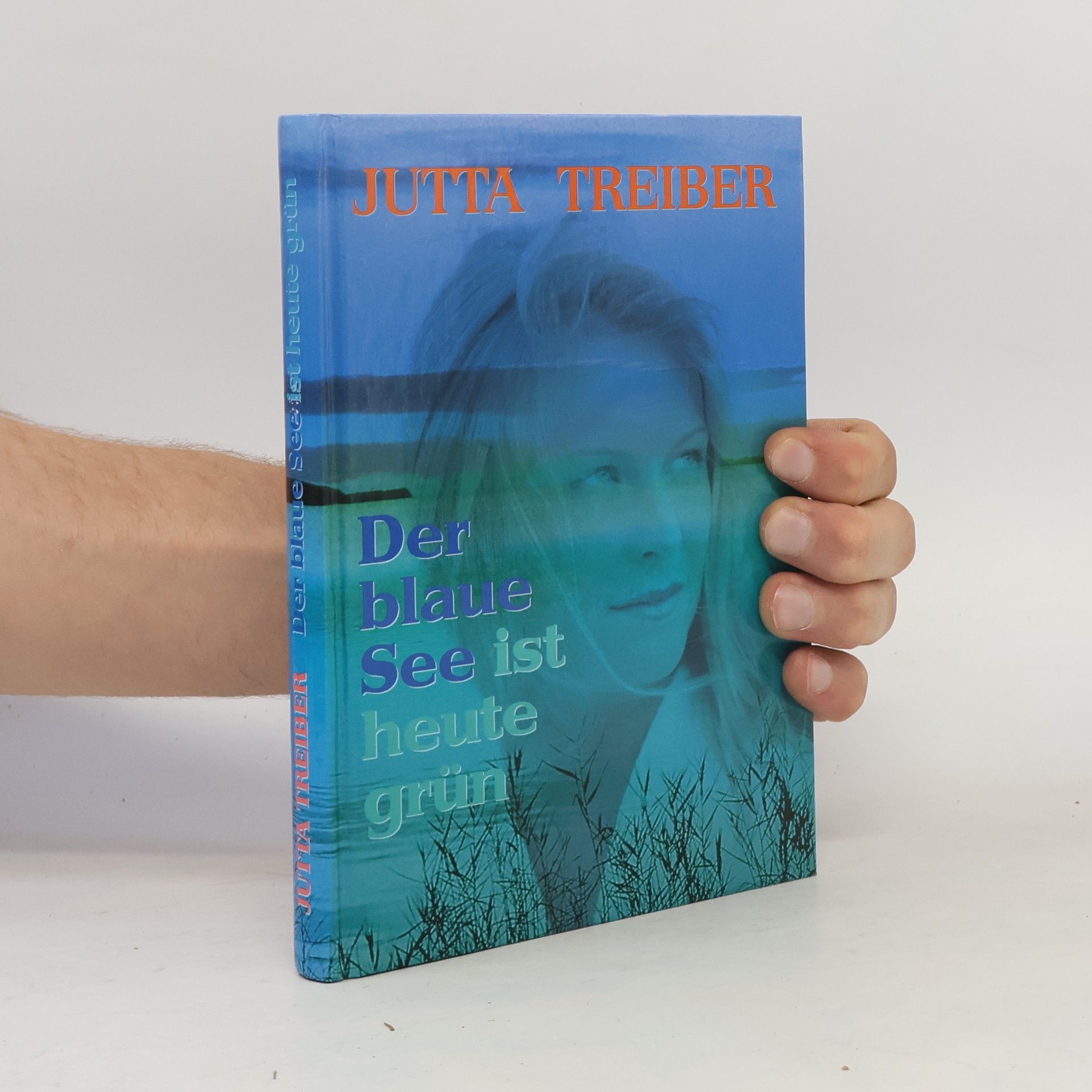 Jutta Treiber Der blaue See ist heute grün