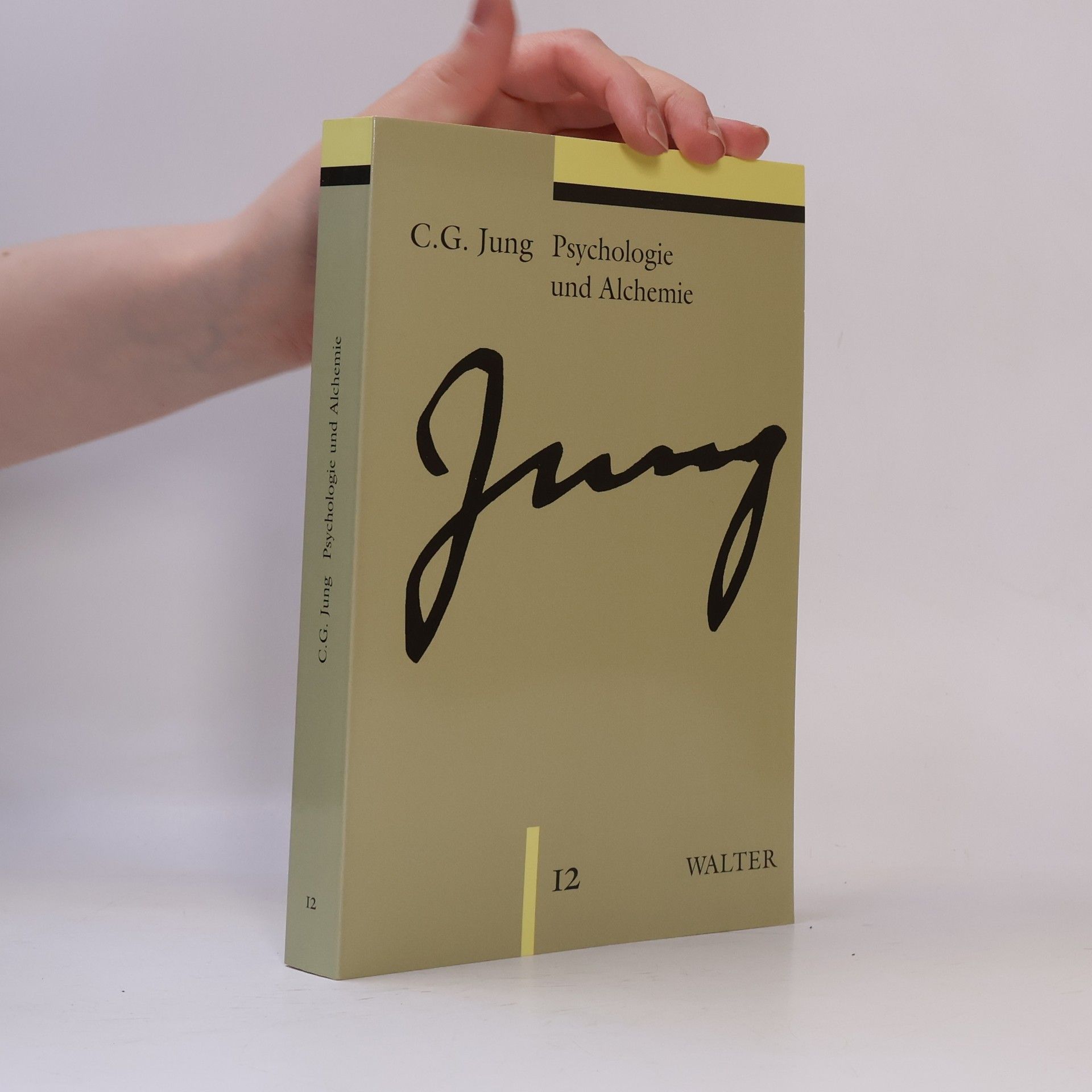 Carl Gustav Jung Psychologie und Alchemie