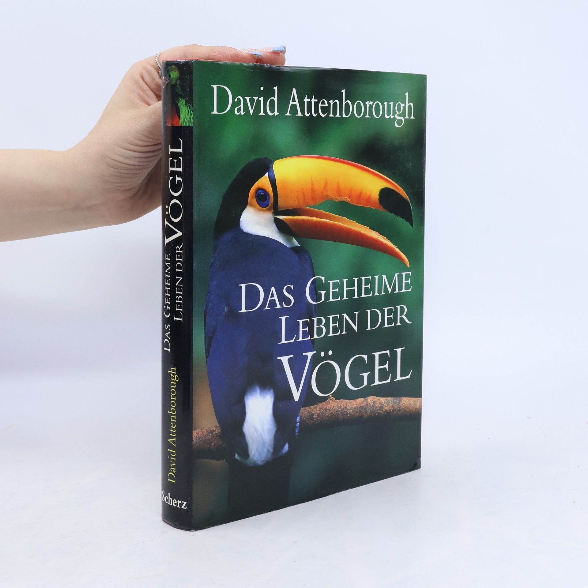 David Attenborough Das geheime Leben der Vögel