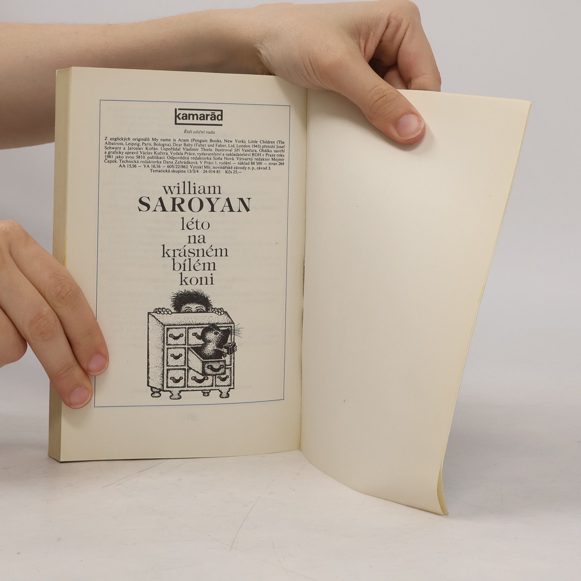 William Saroyan Léto na krásném bílém koni