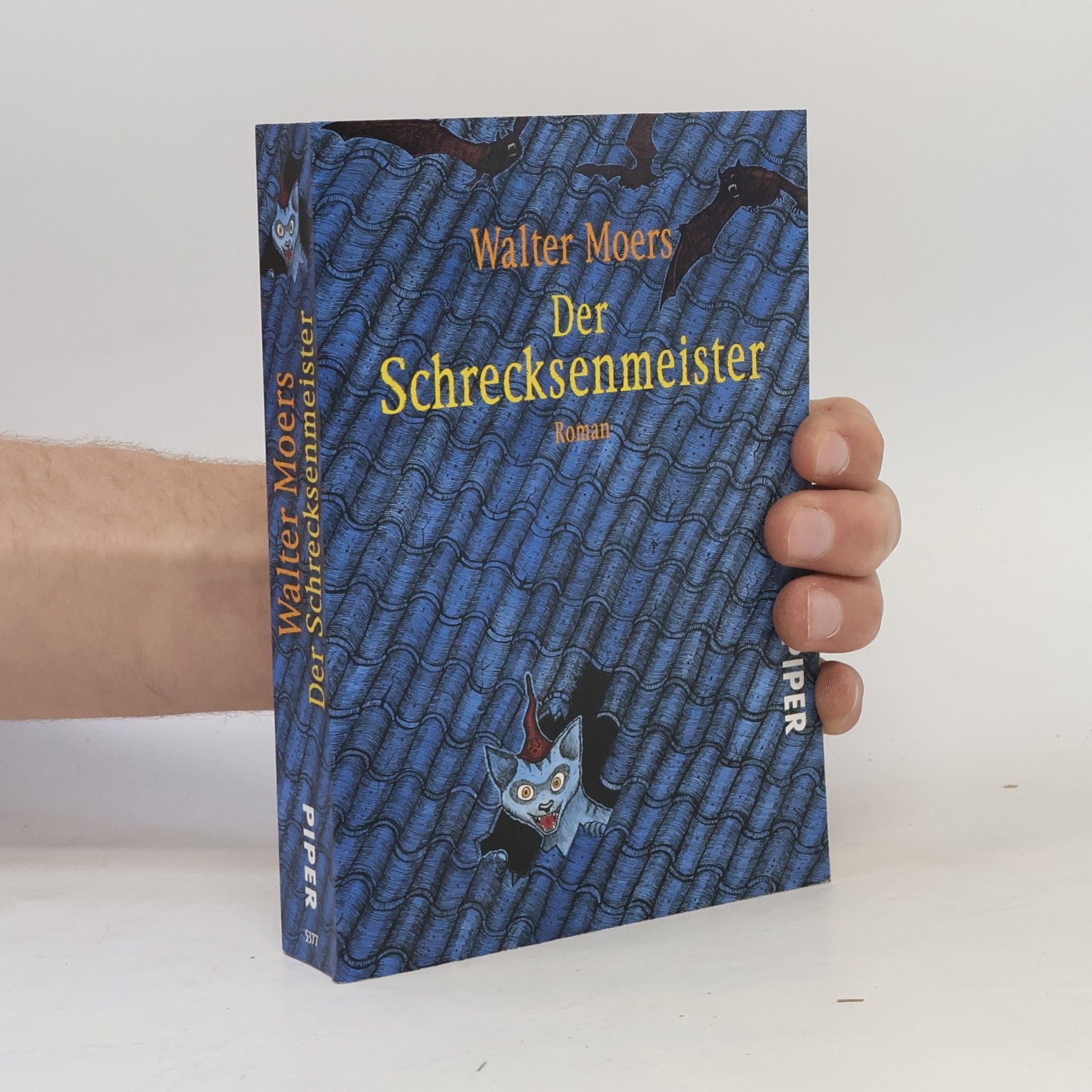 Walter Moers Der Schrecksenmeister