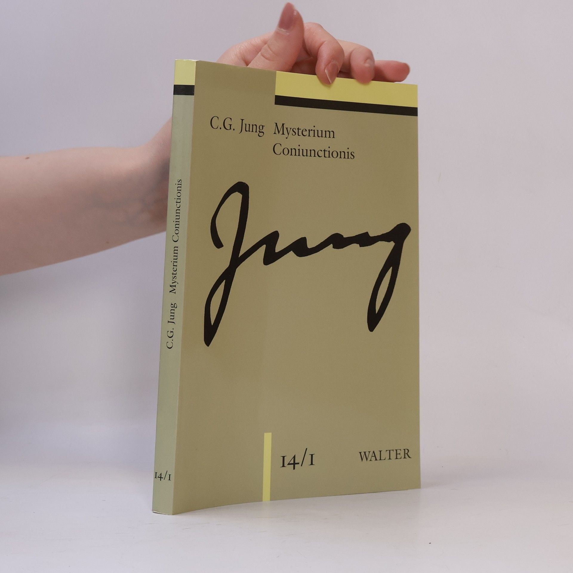 Carl Gustav Jung Gesammelte Werke