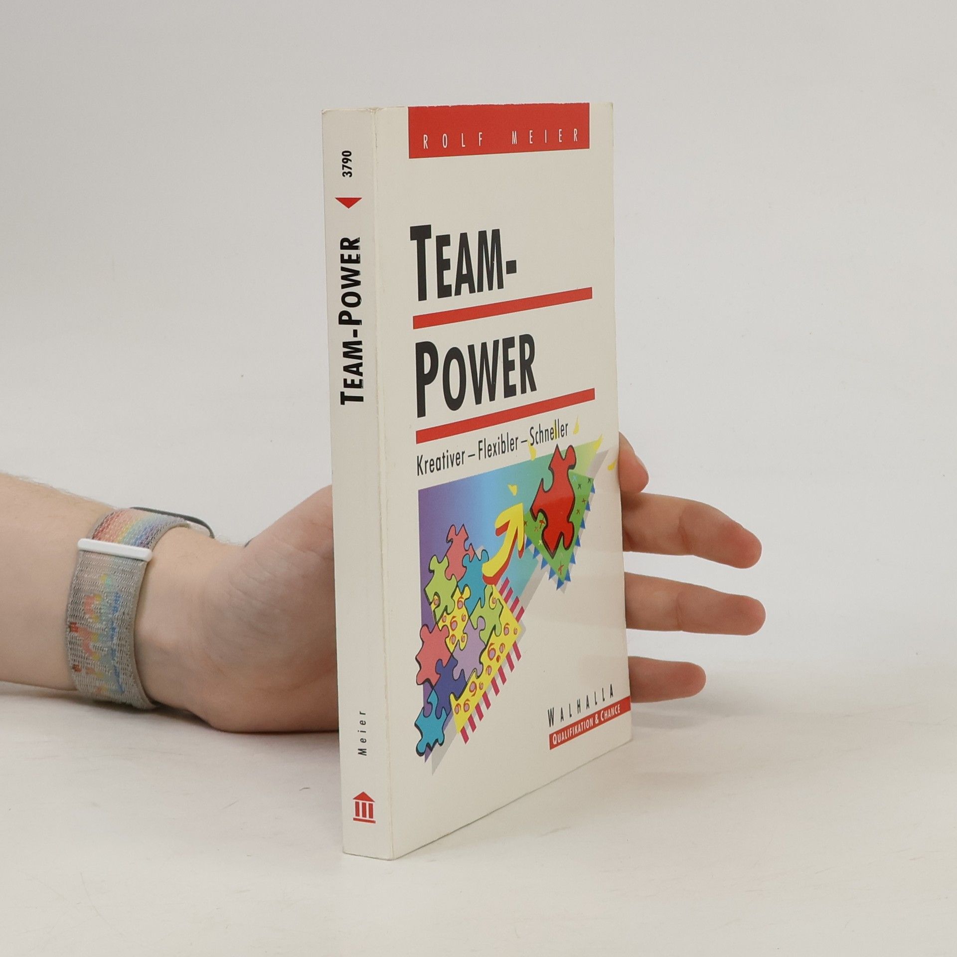 Rolf Meier Team-Power