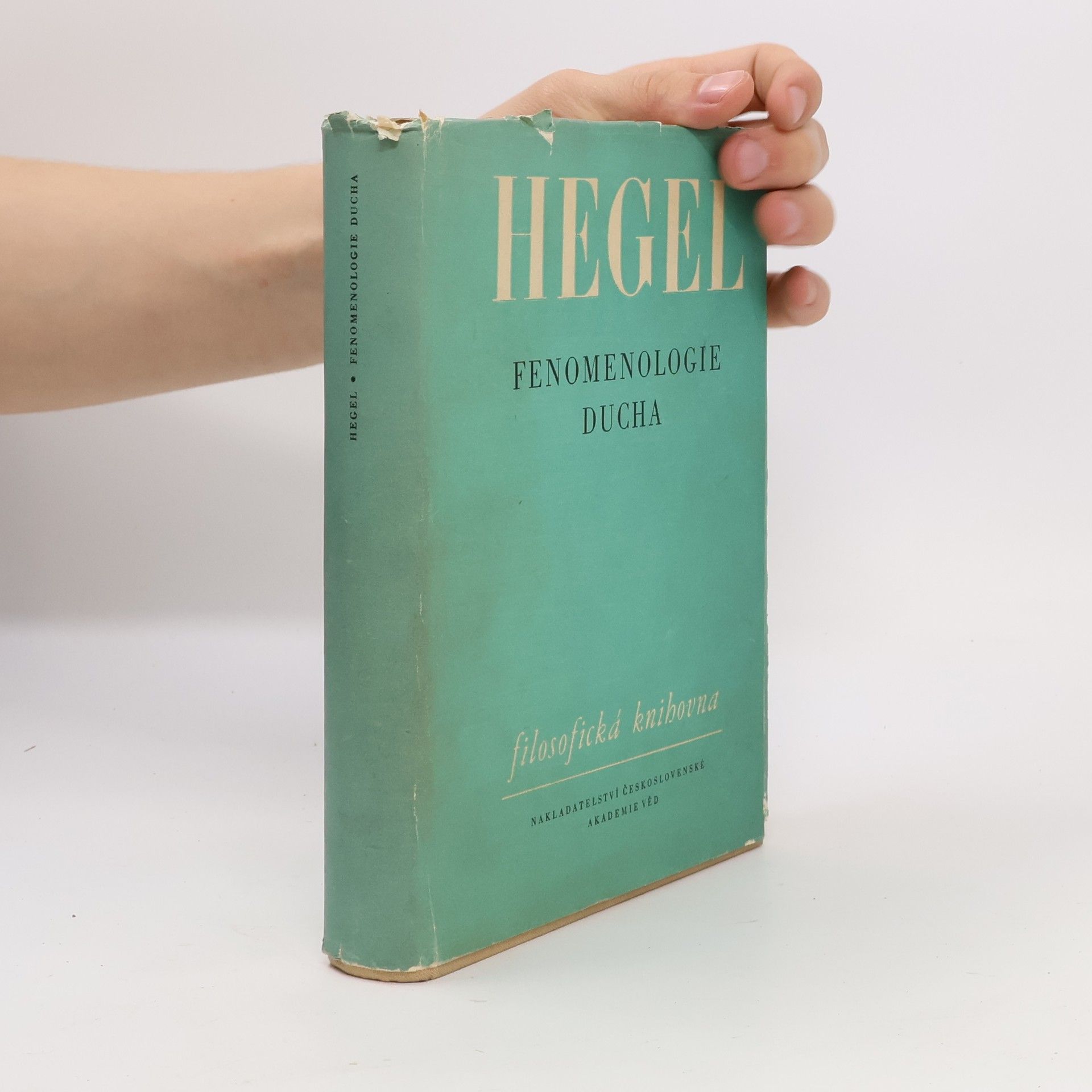 Fenomenologie ducha