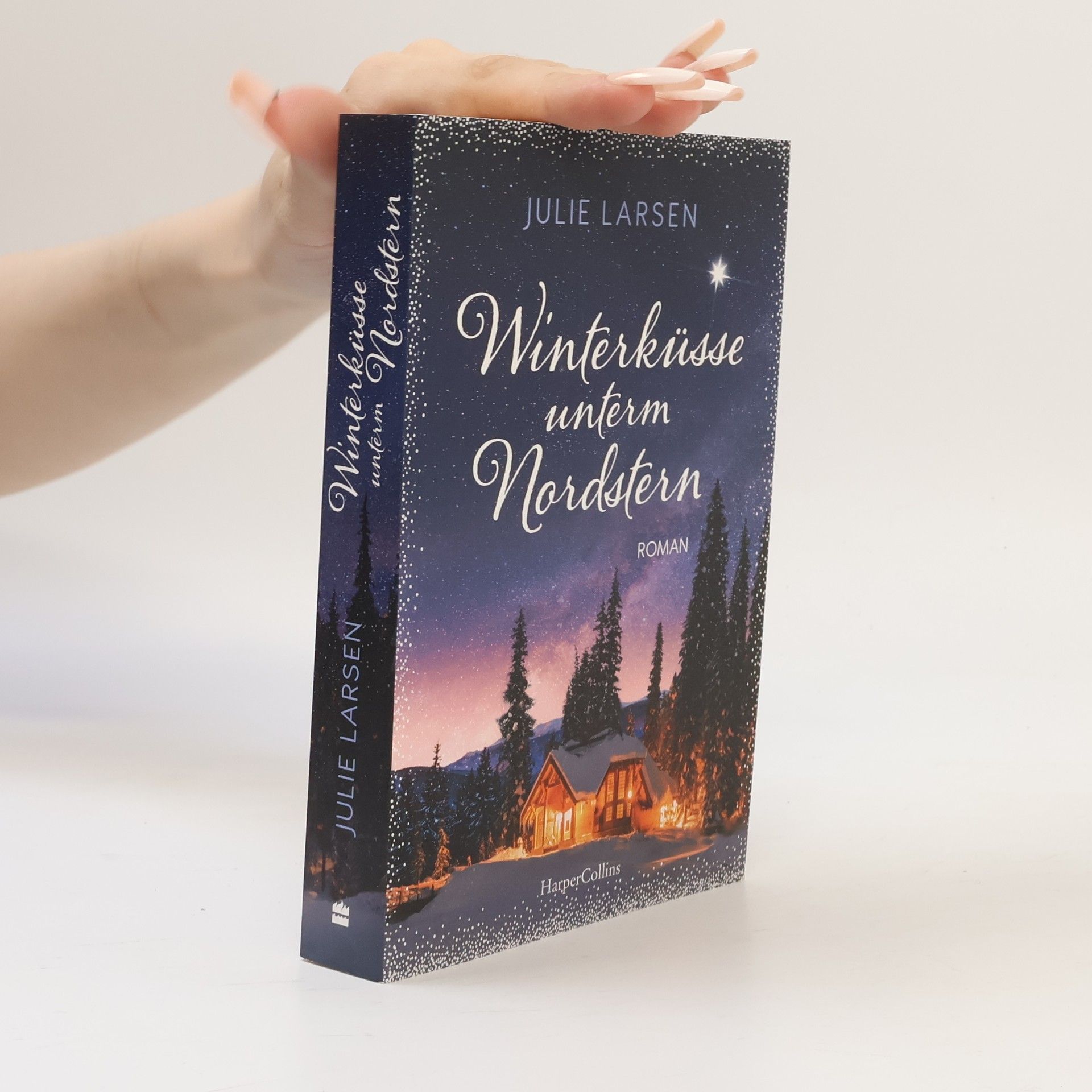 Julie Larsen Winterküsse unterm Nordstern