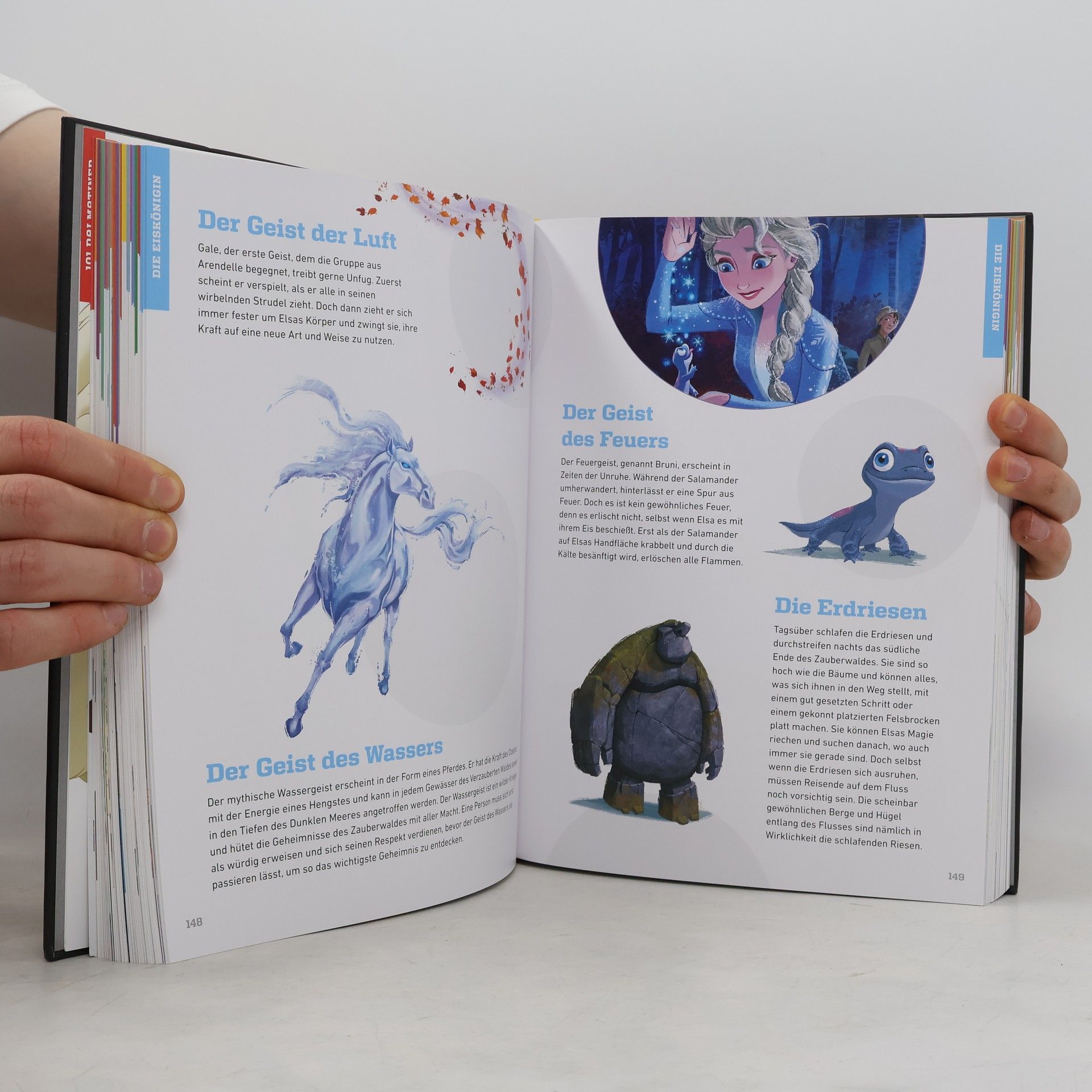 Autorenkollektiv Disney Who's who. Das A bis Z der Disney-Figuren