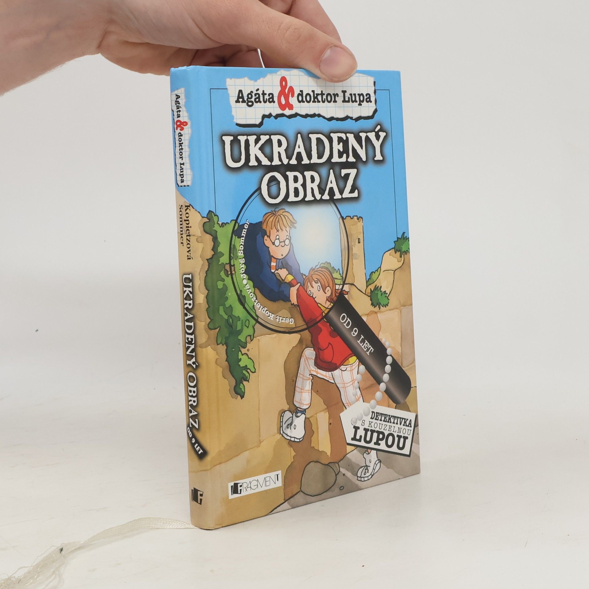 Jörg Sommer Ukradený obraz