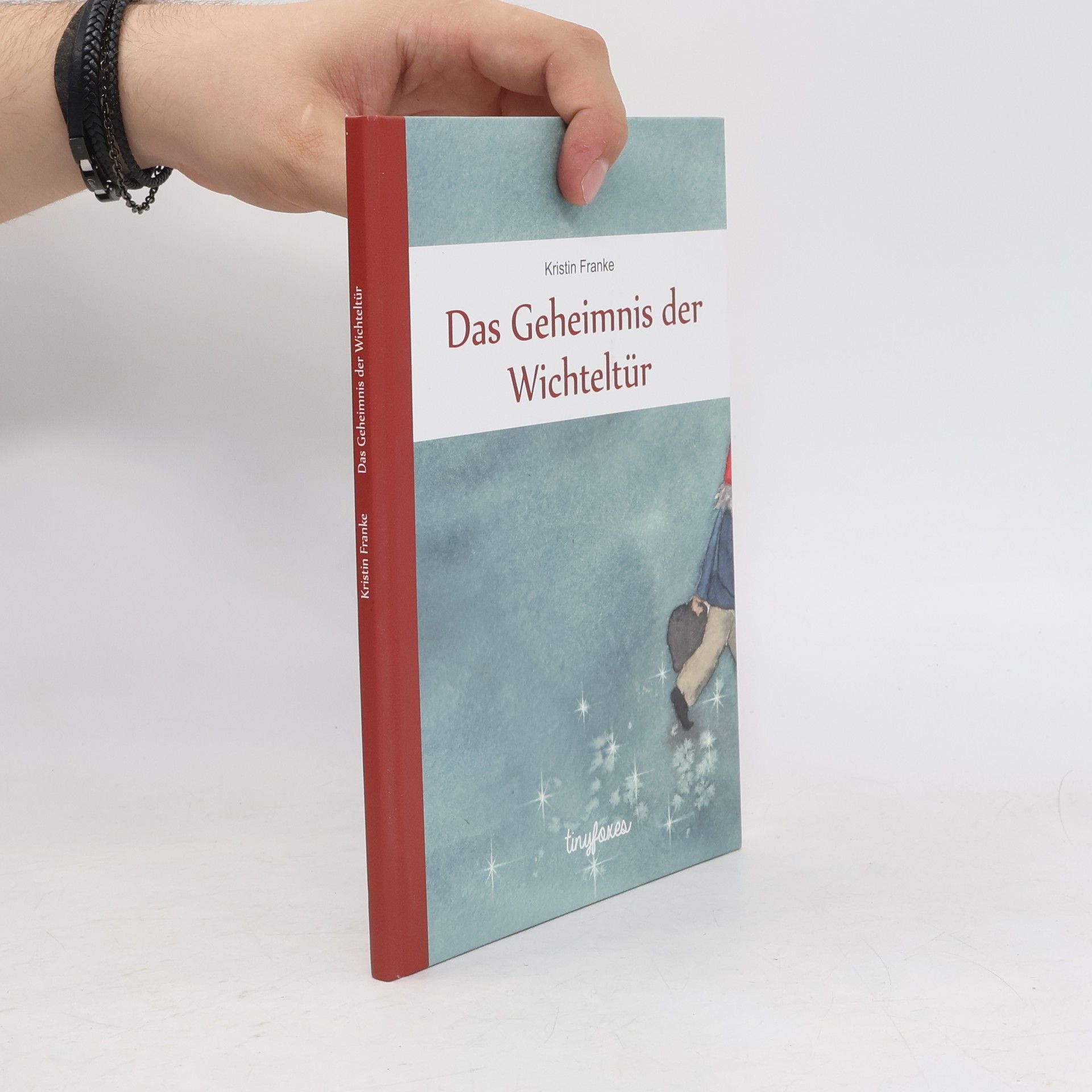 Kristin Franke Das Geheimnis der Wichteltür