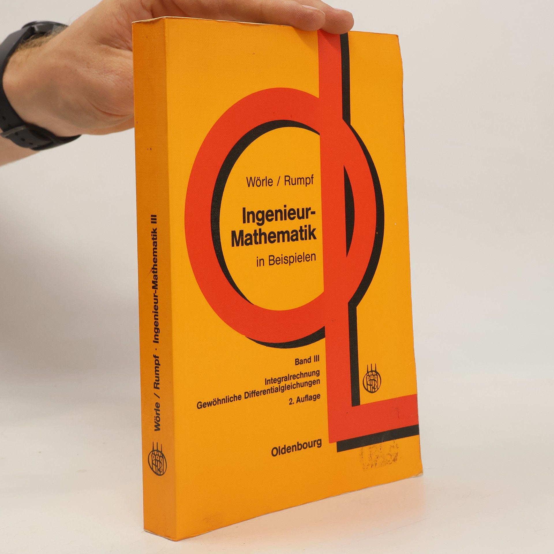 Ingenieur-Mathematik in Beispielen