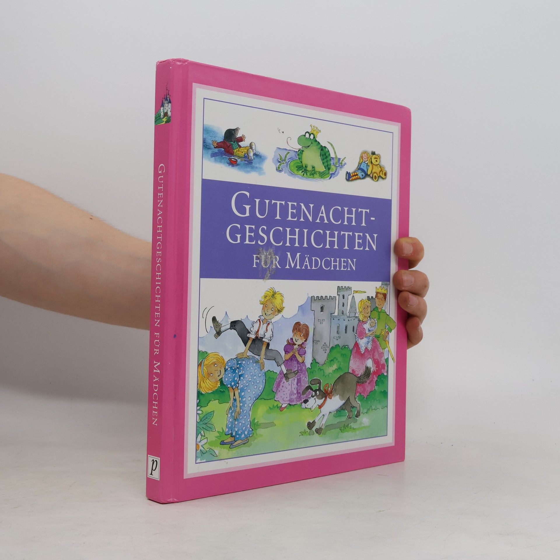 Derek Hall Gutenachtgeschichten für Mädchen