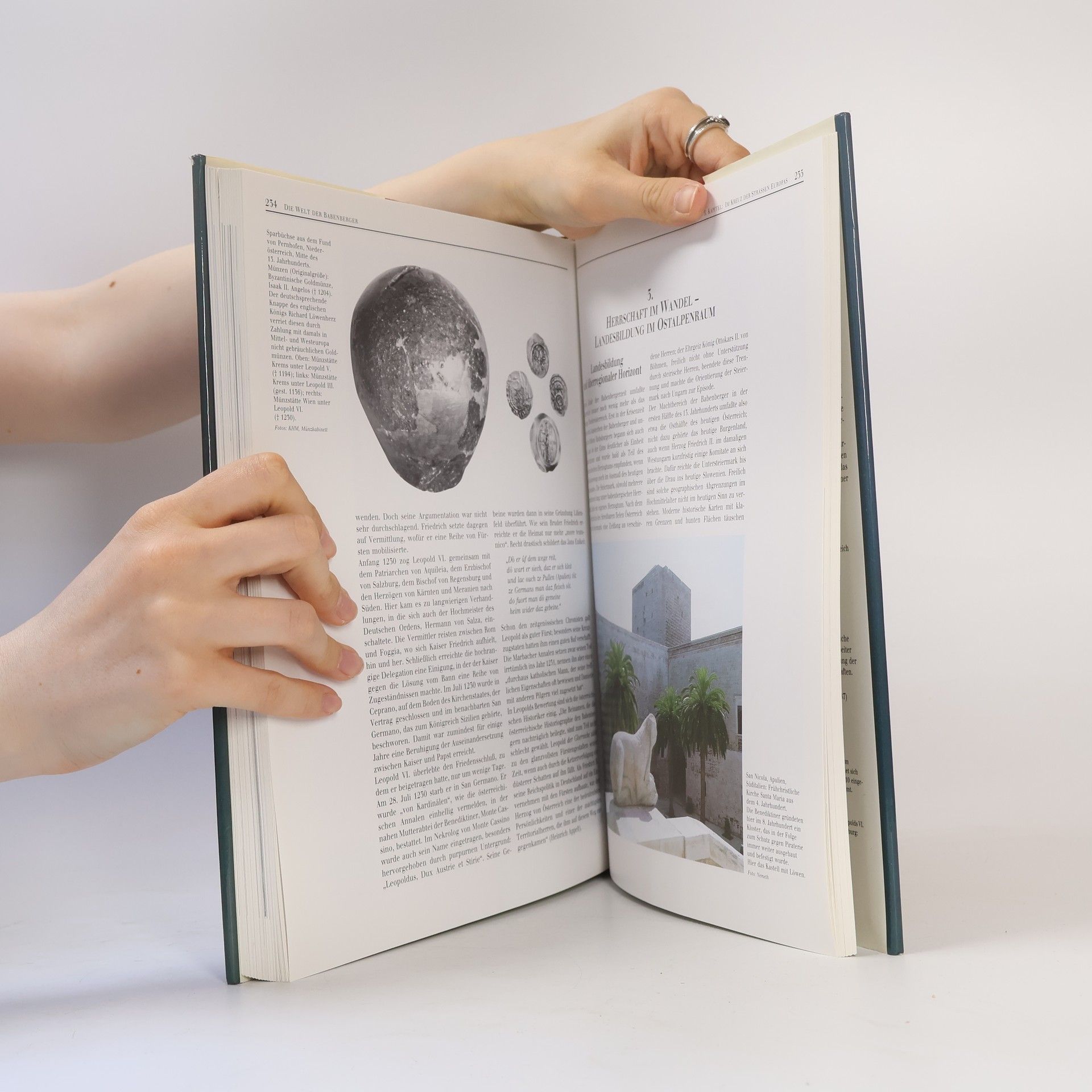 Walter Pohl Die Welt der Babenberger