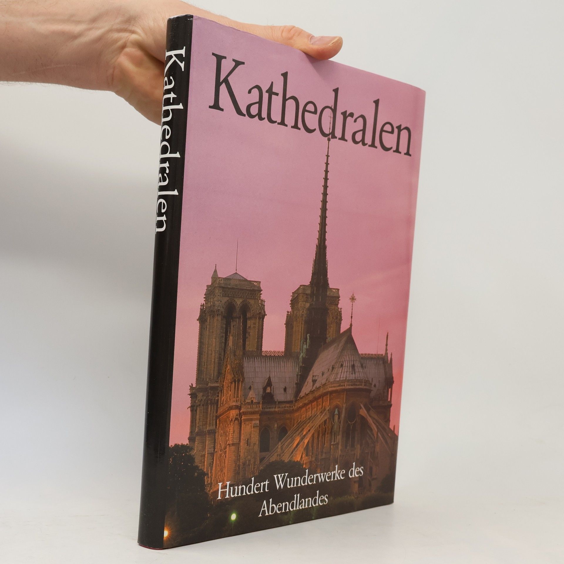 Charlotte Behringer Kathedralen