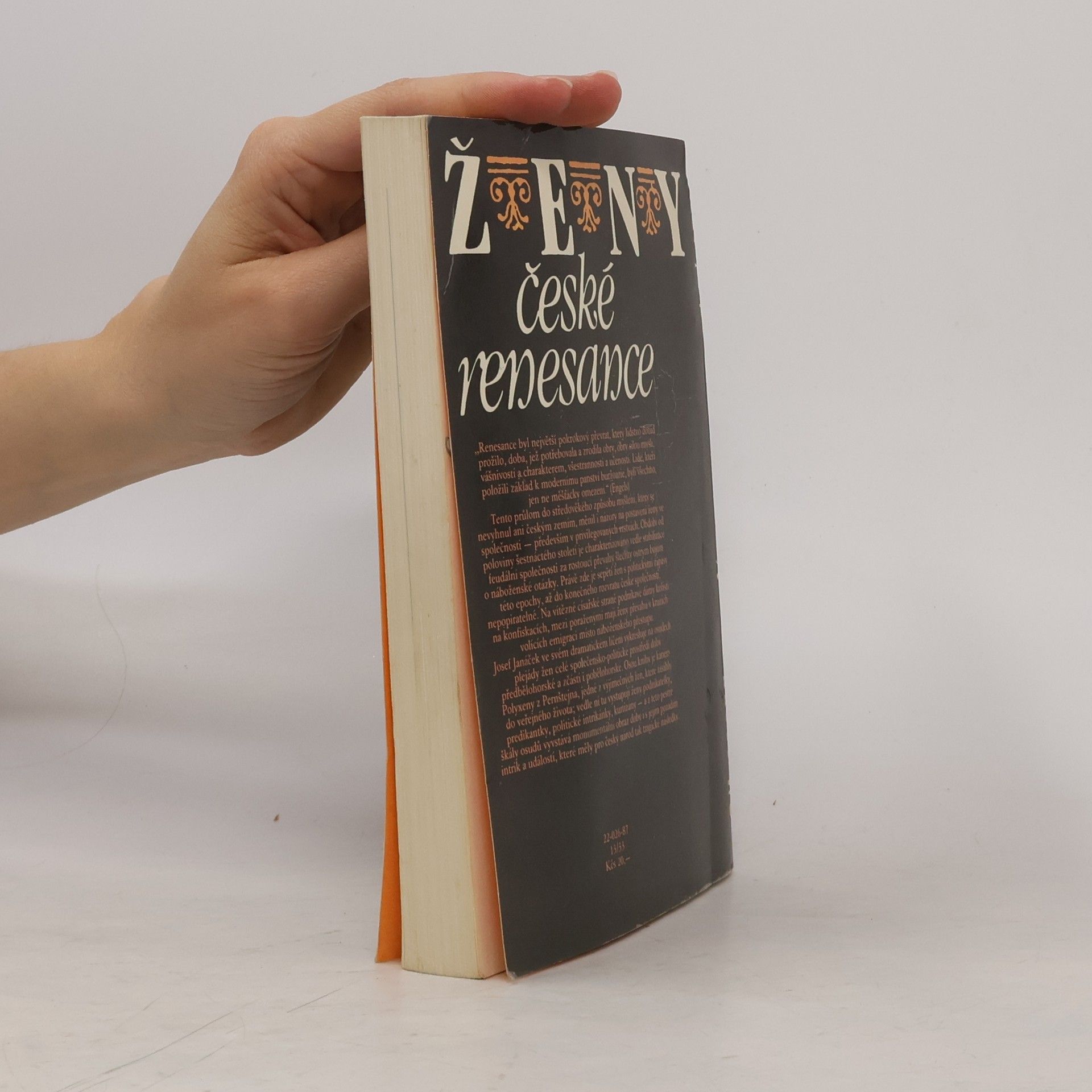 Josef Janáček Ženy české renesance