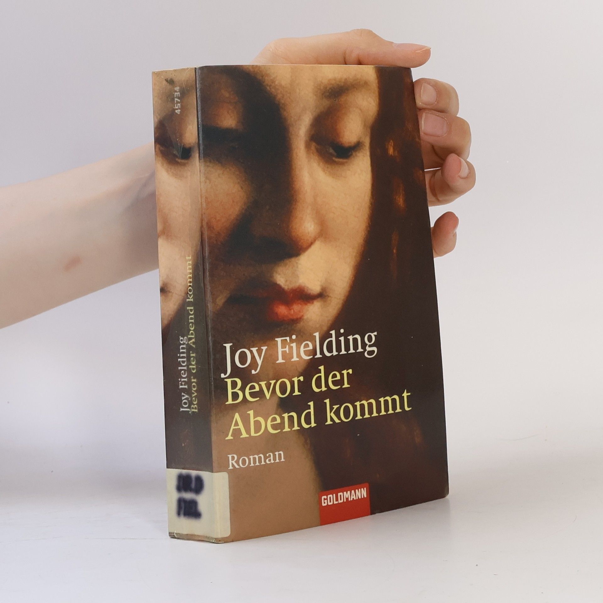 Joy Fielding Bevor der Abend kommt