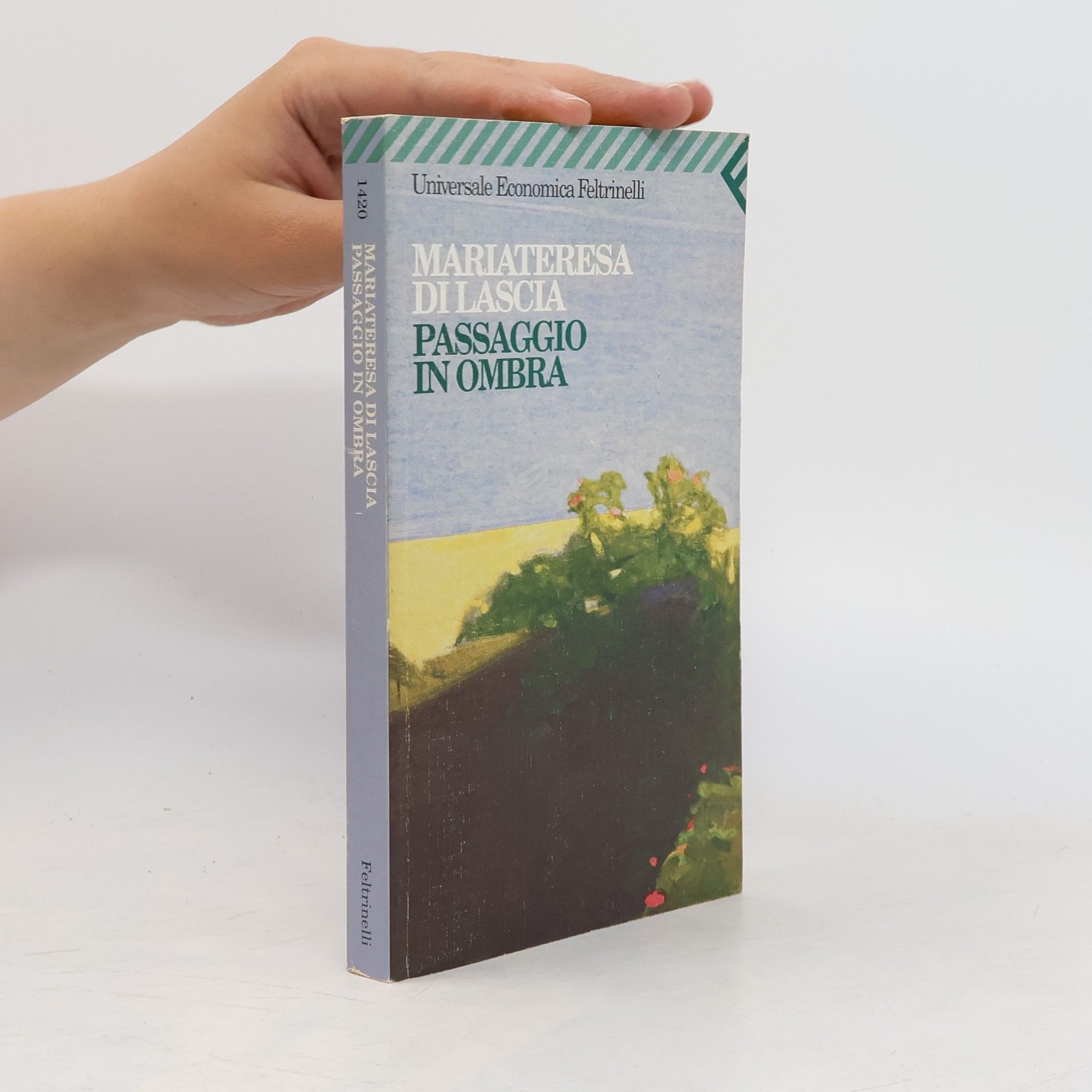 Mariateresa Di Lascia Passaggio in ombra