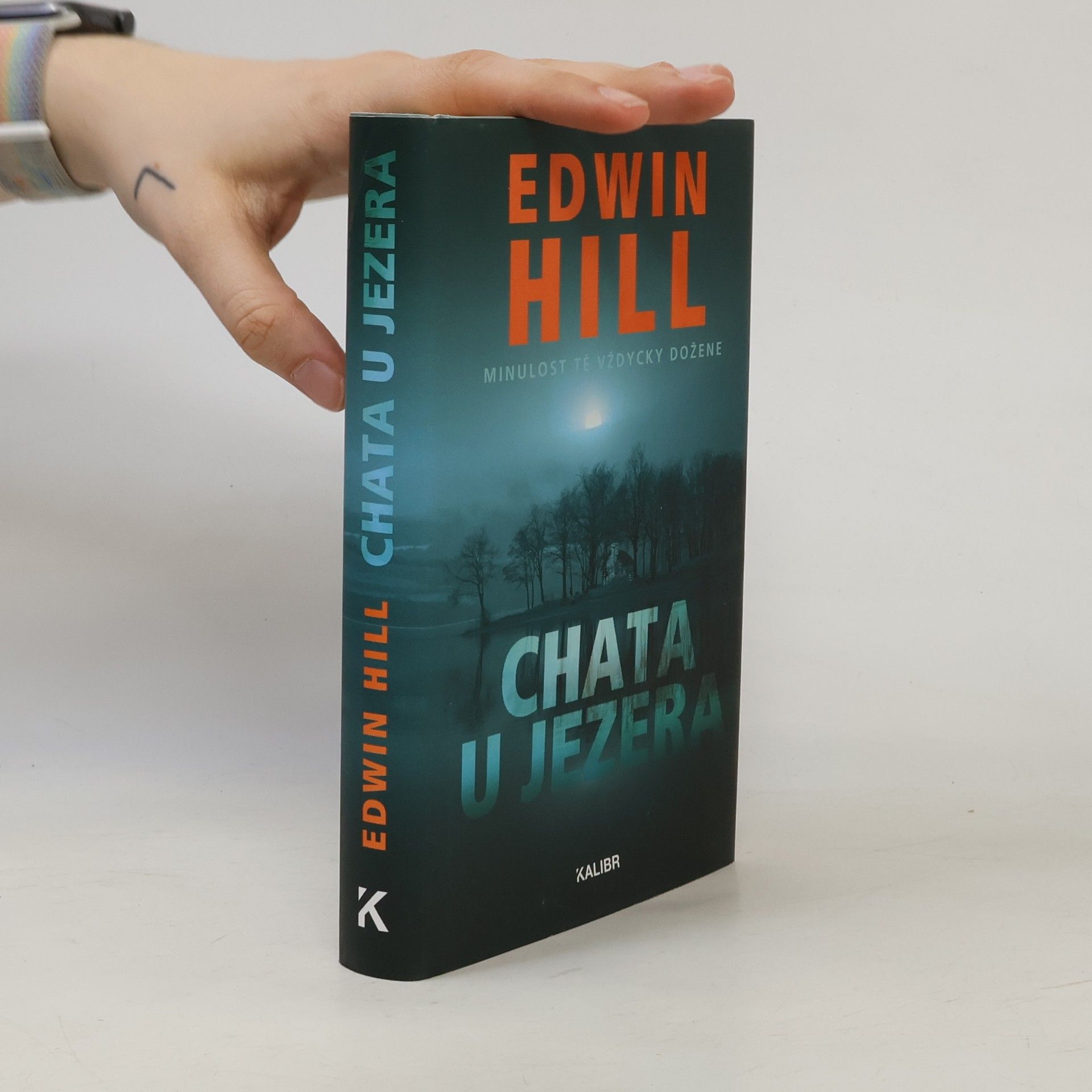 Edwin Hill Chata u jezera