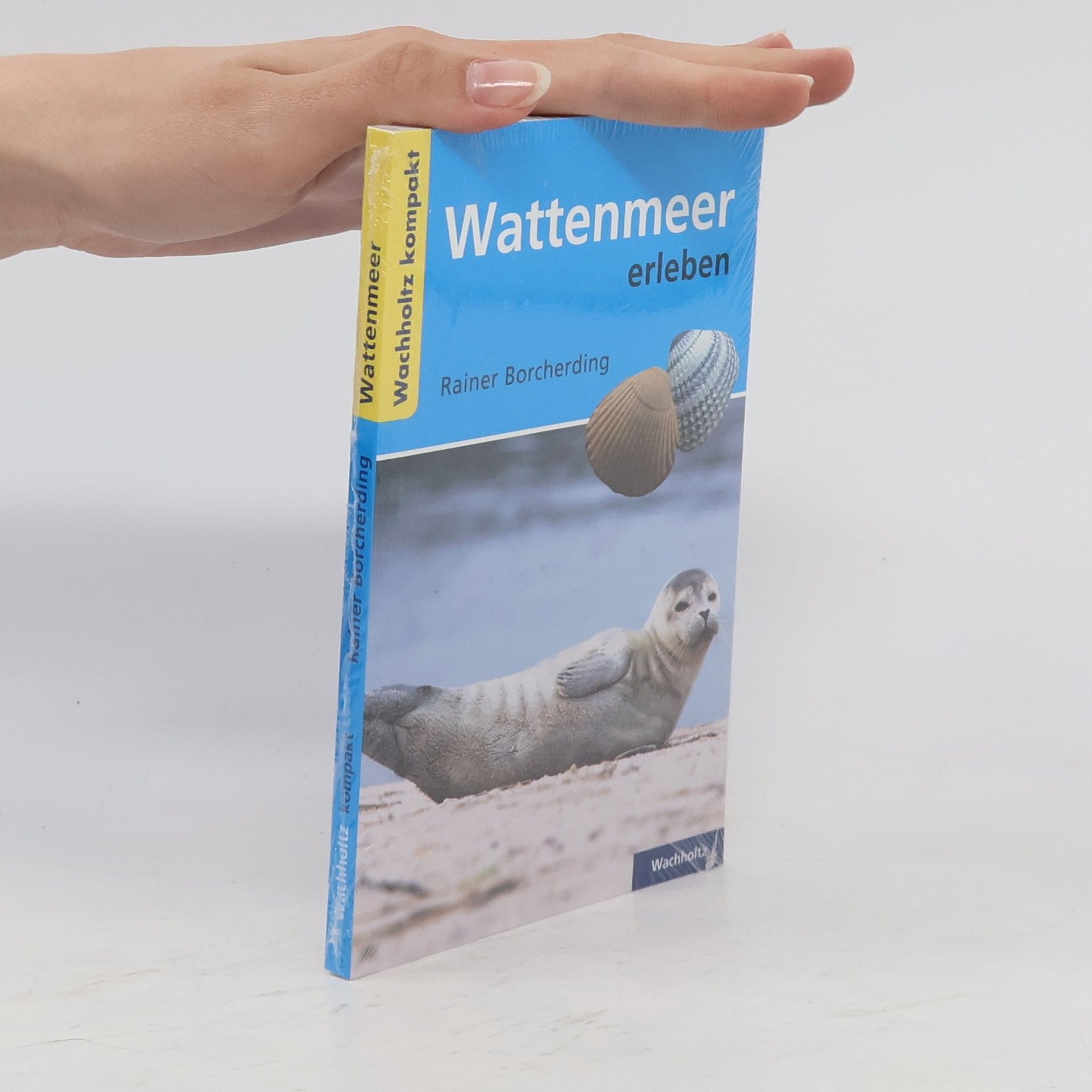 Rainer Borcherding Wachholtz kompakt: Wattenmeer erleben