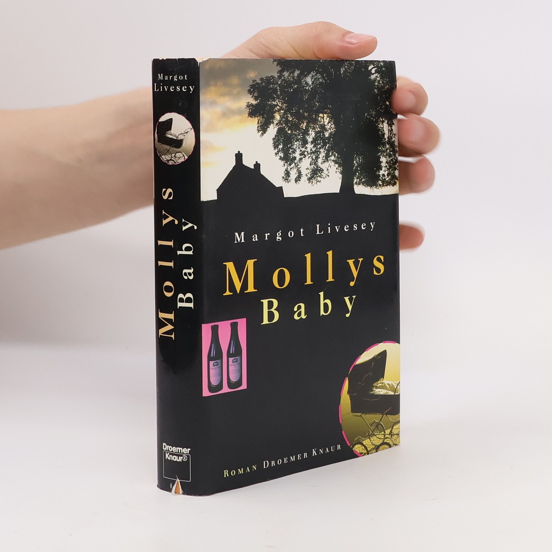Margot Livesey Mollys Baby. Roman
