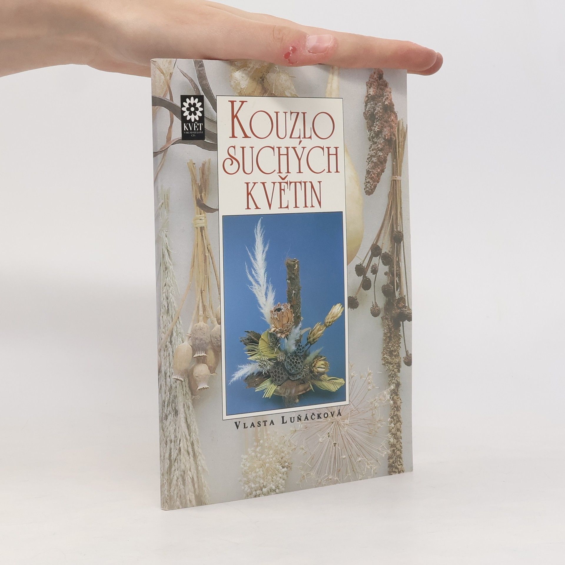 Vlasta Luňáčková Kouzlo suchých květin