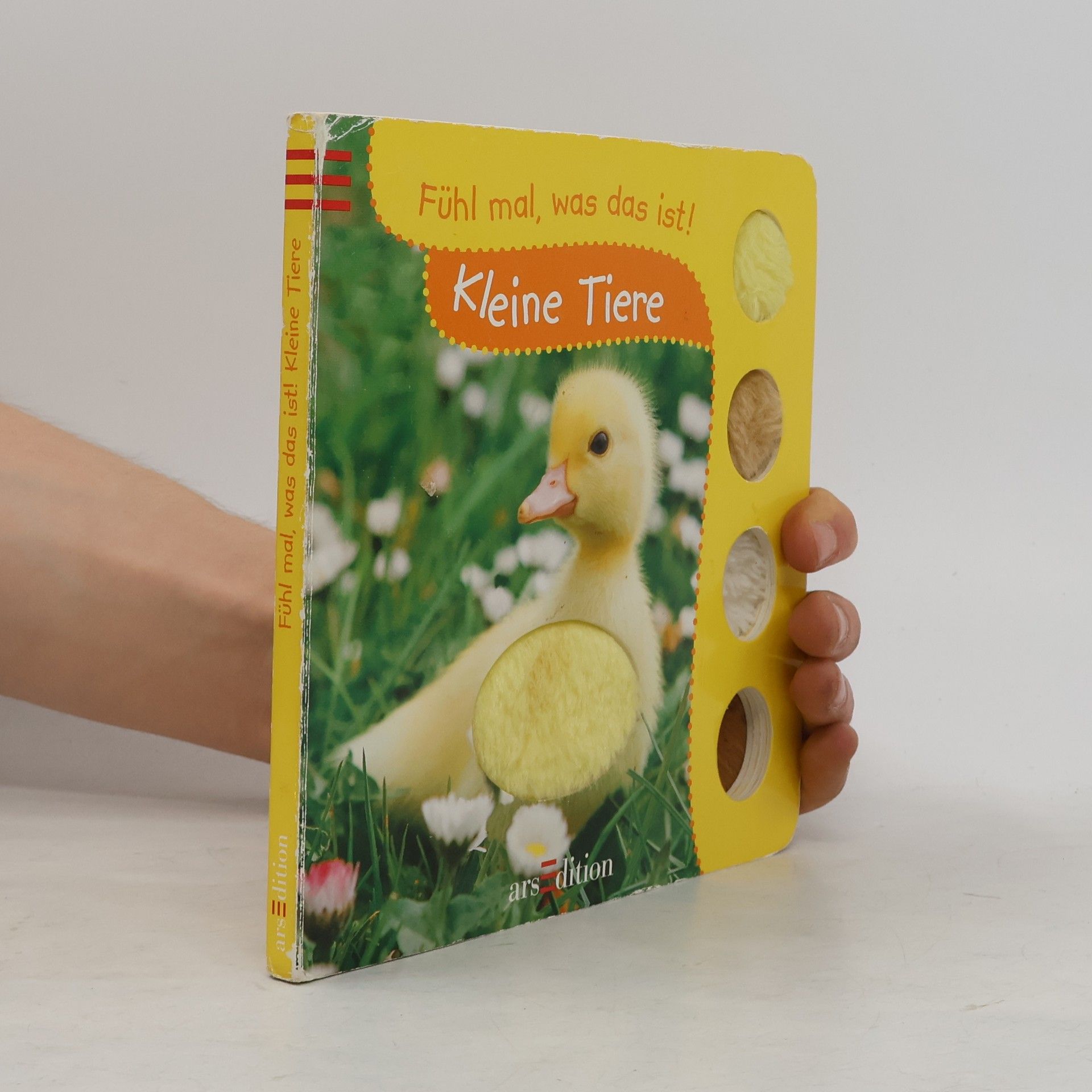 Collectif d'auteurs Kleine Tiere