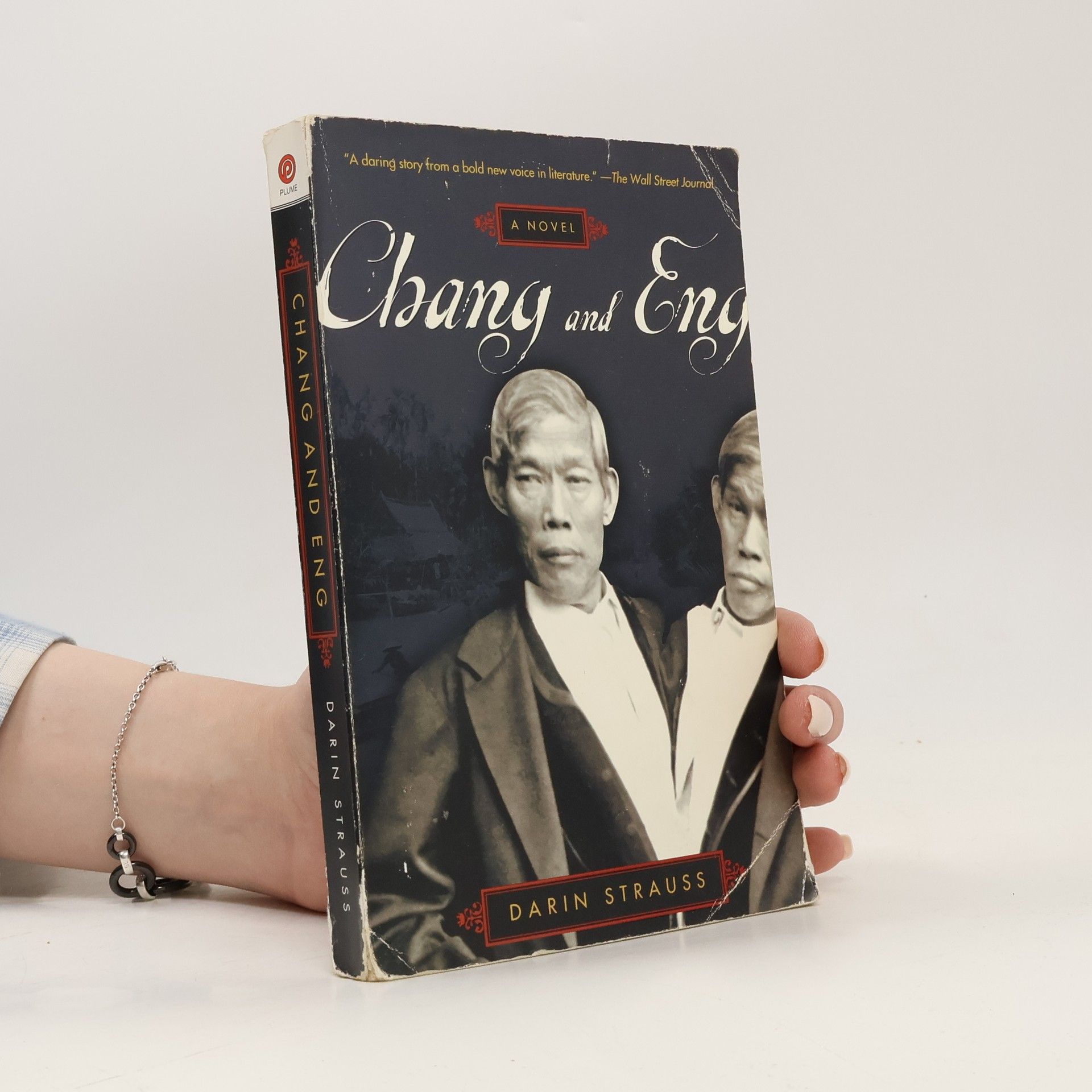 Darin Strauss Chang and Eng