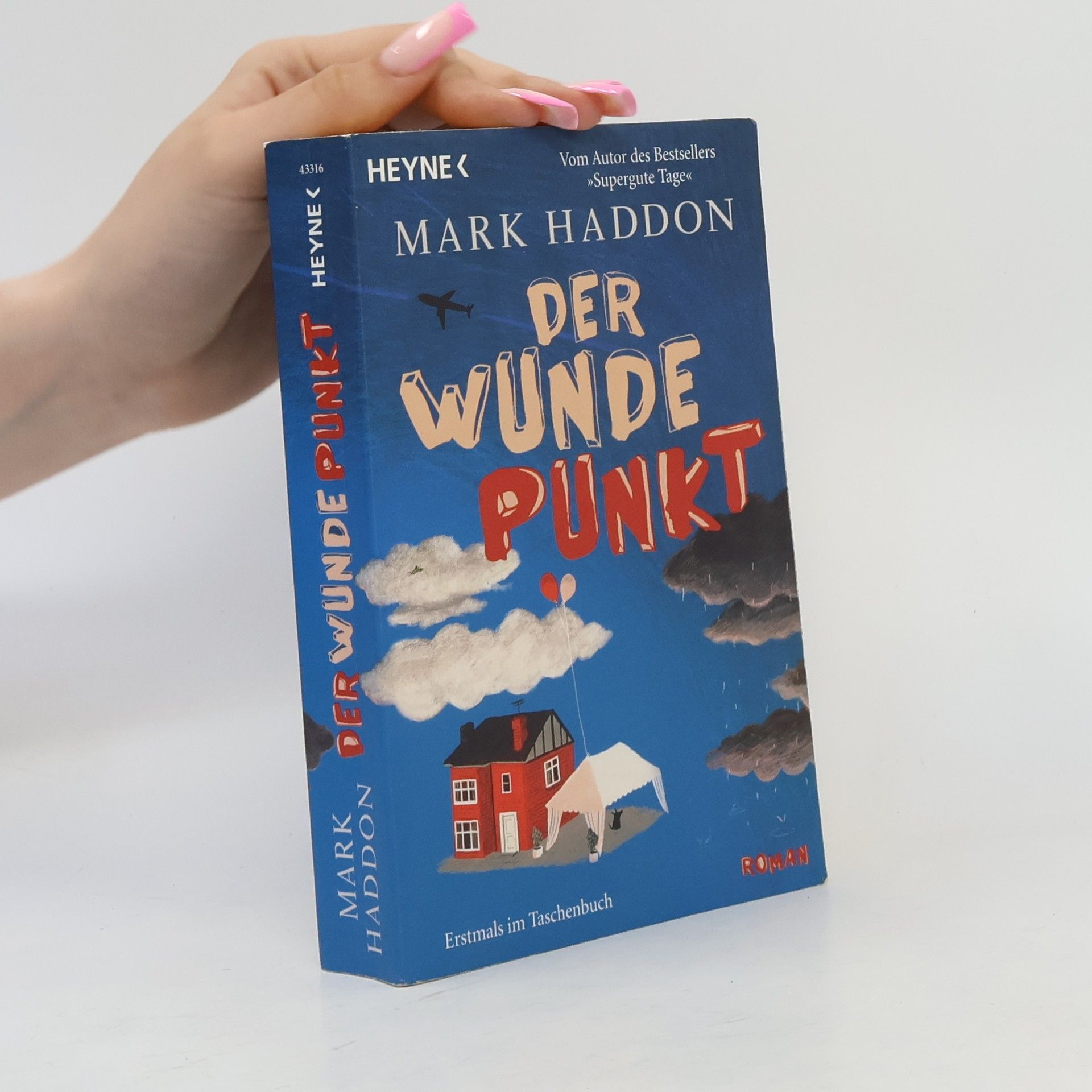 Mark Haddon Der wunde Punkt