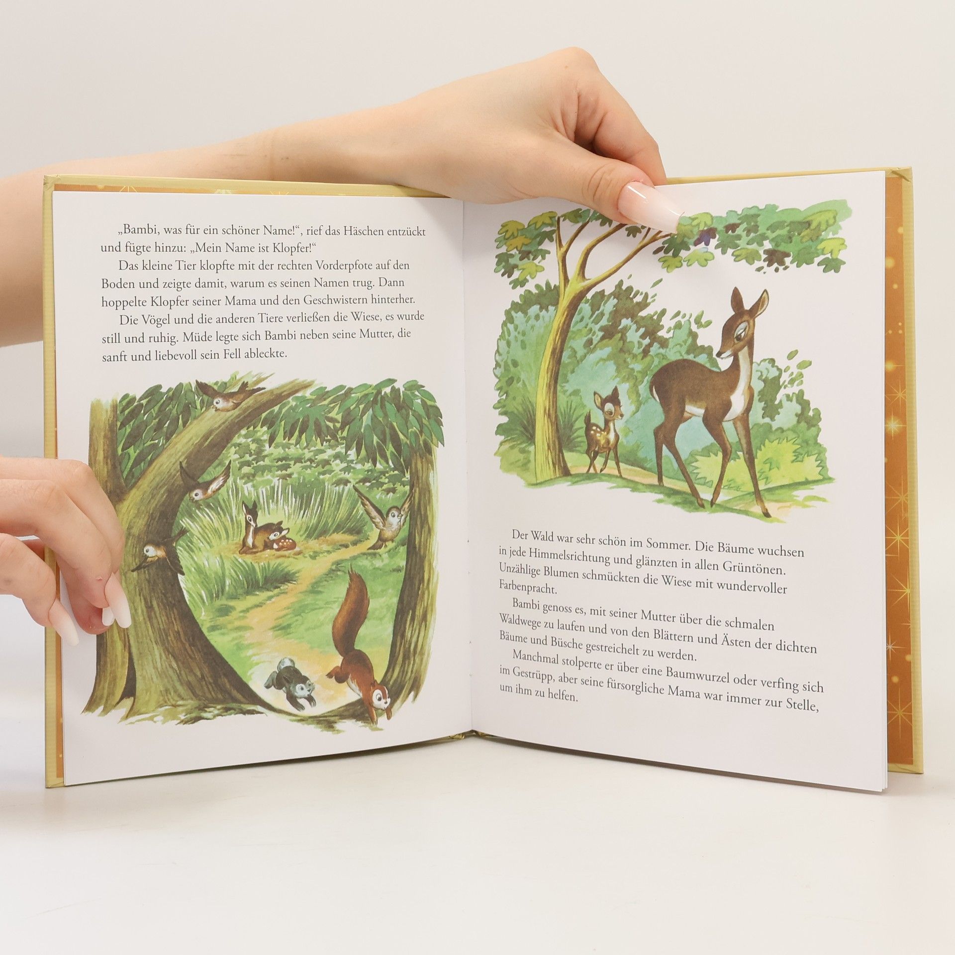 Autorenkollektiv Bambi