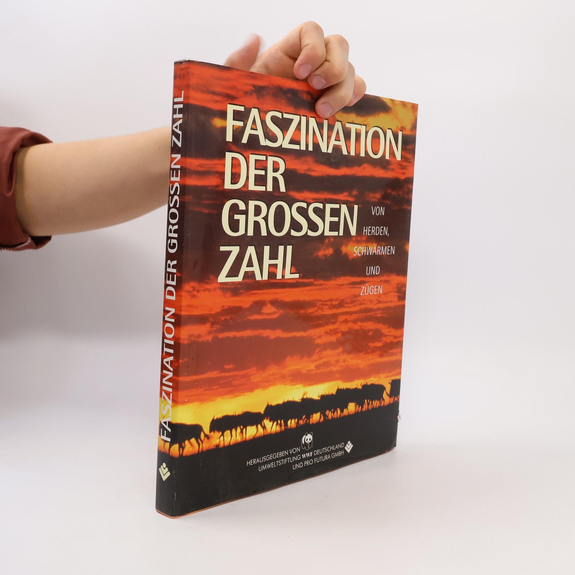 Autorenkollektiv Faszination der grossen zahl