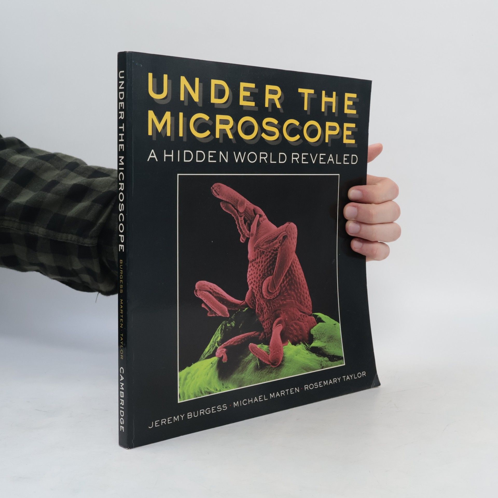 Under the Microscope