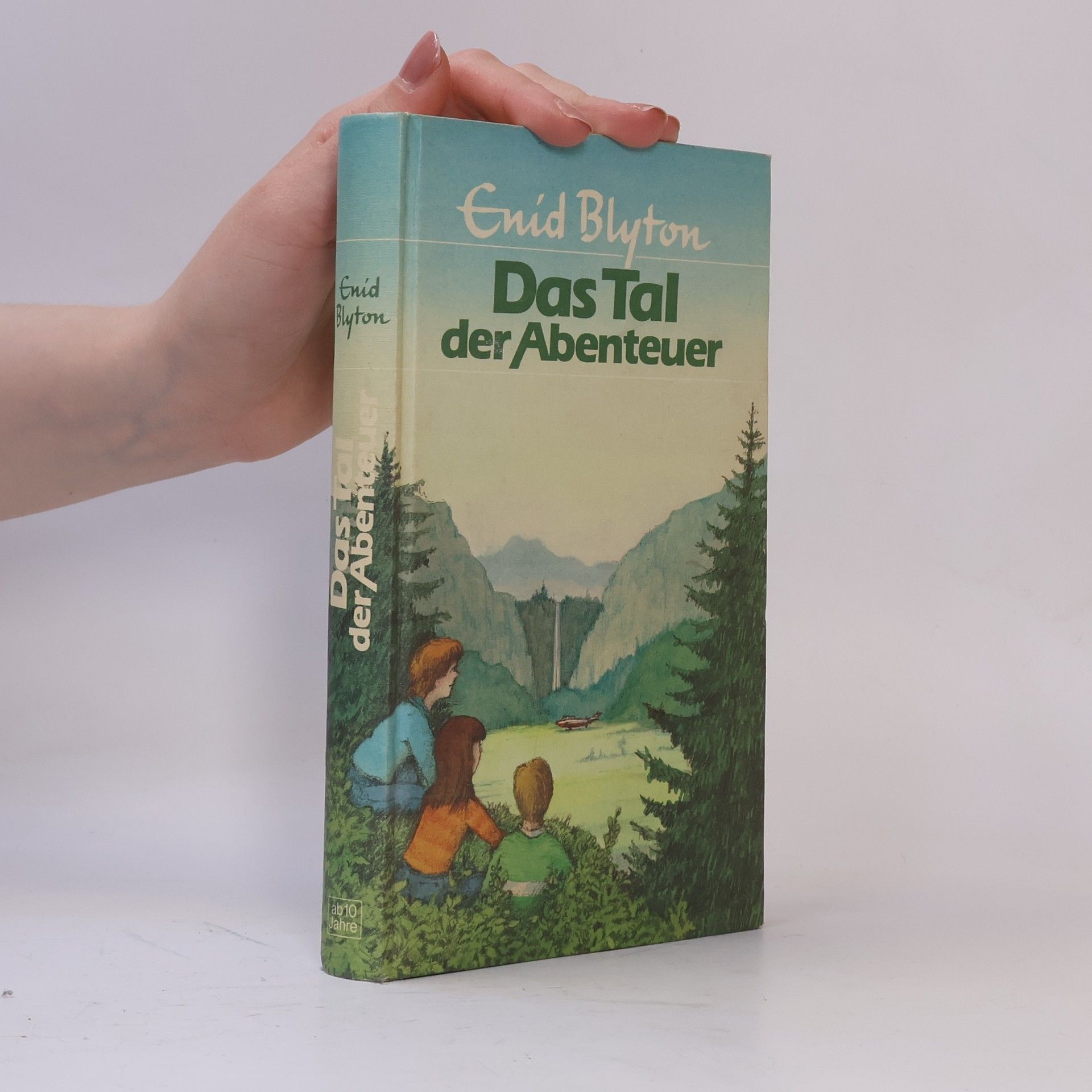 Enid Blyton Das Tal der Abenteuer