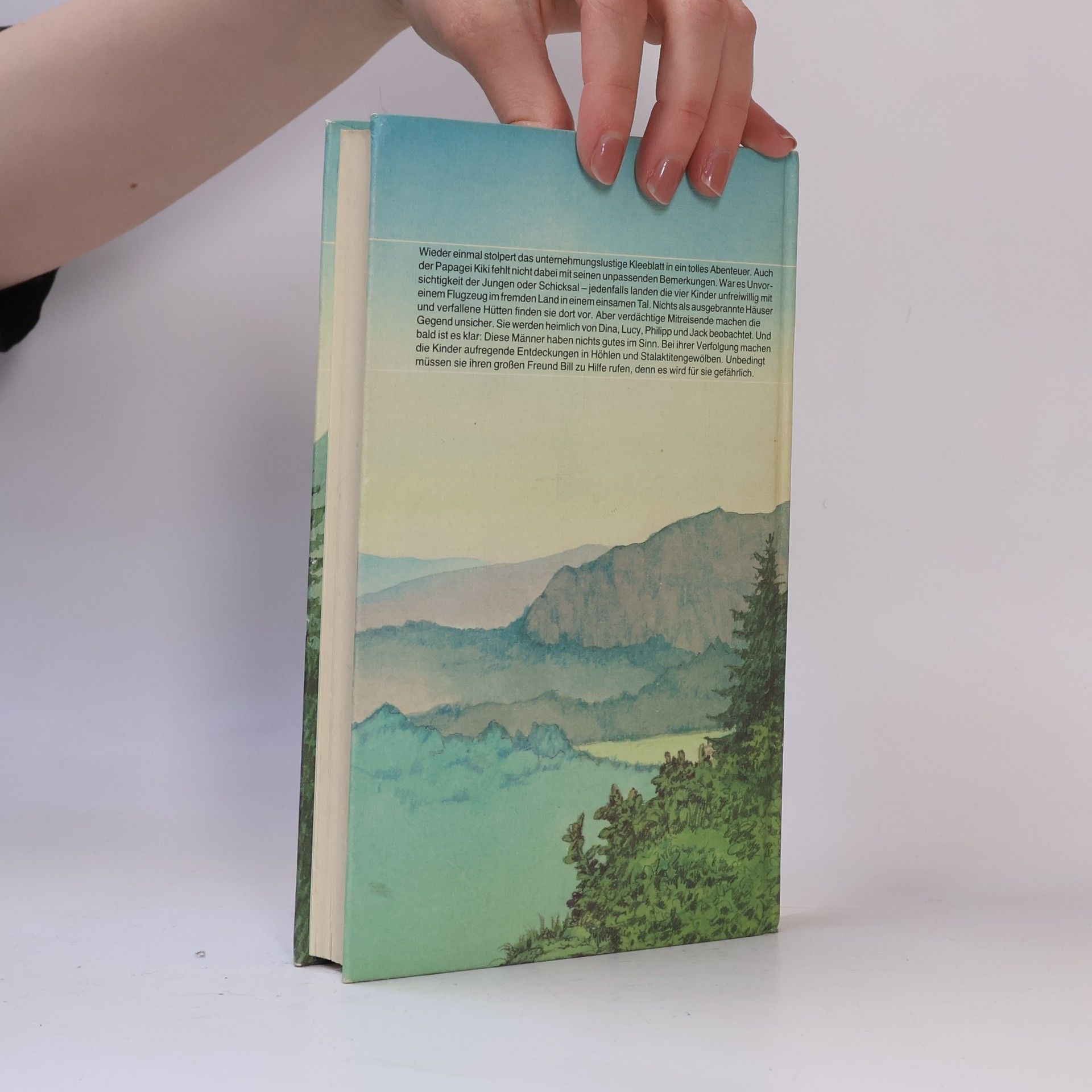 Enid Blyton Das Tal der Abenteuer