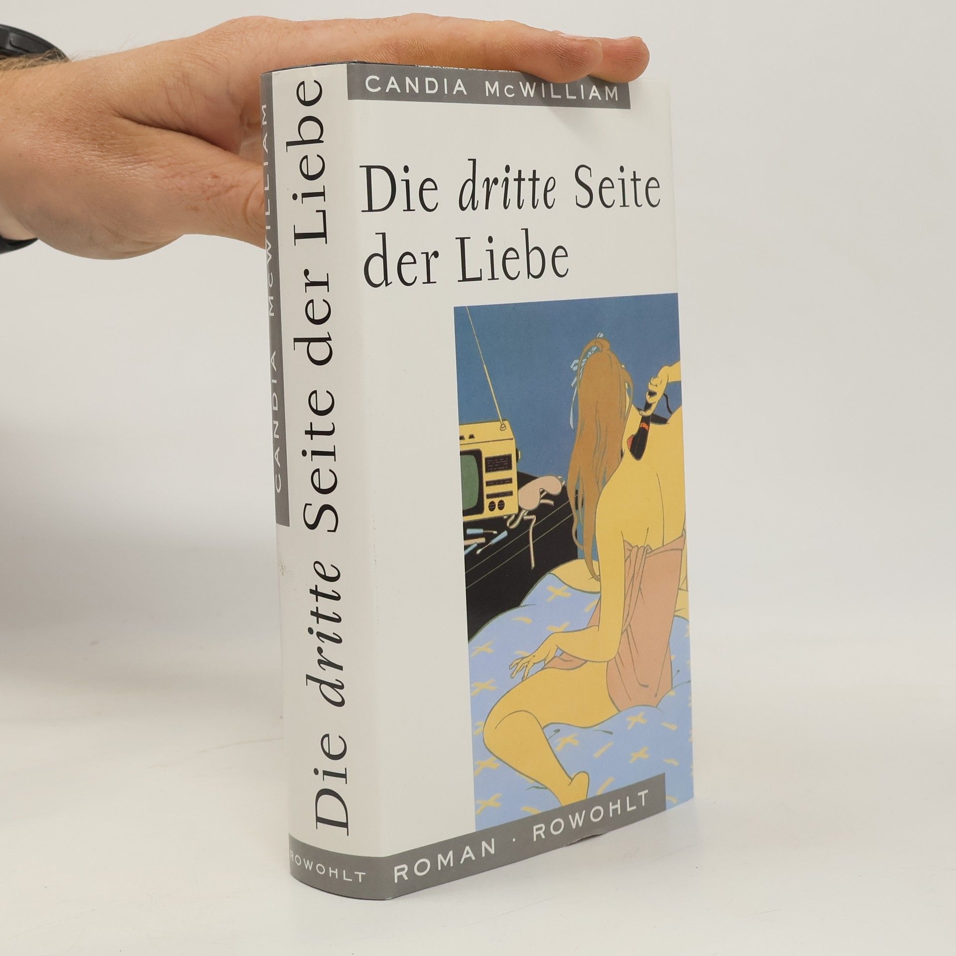 Candia McWilliam Die dritte Seite der Liebe