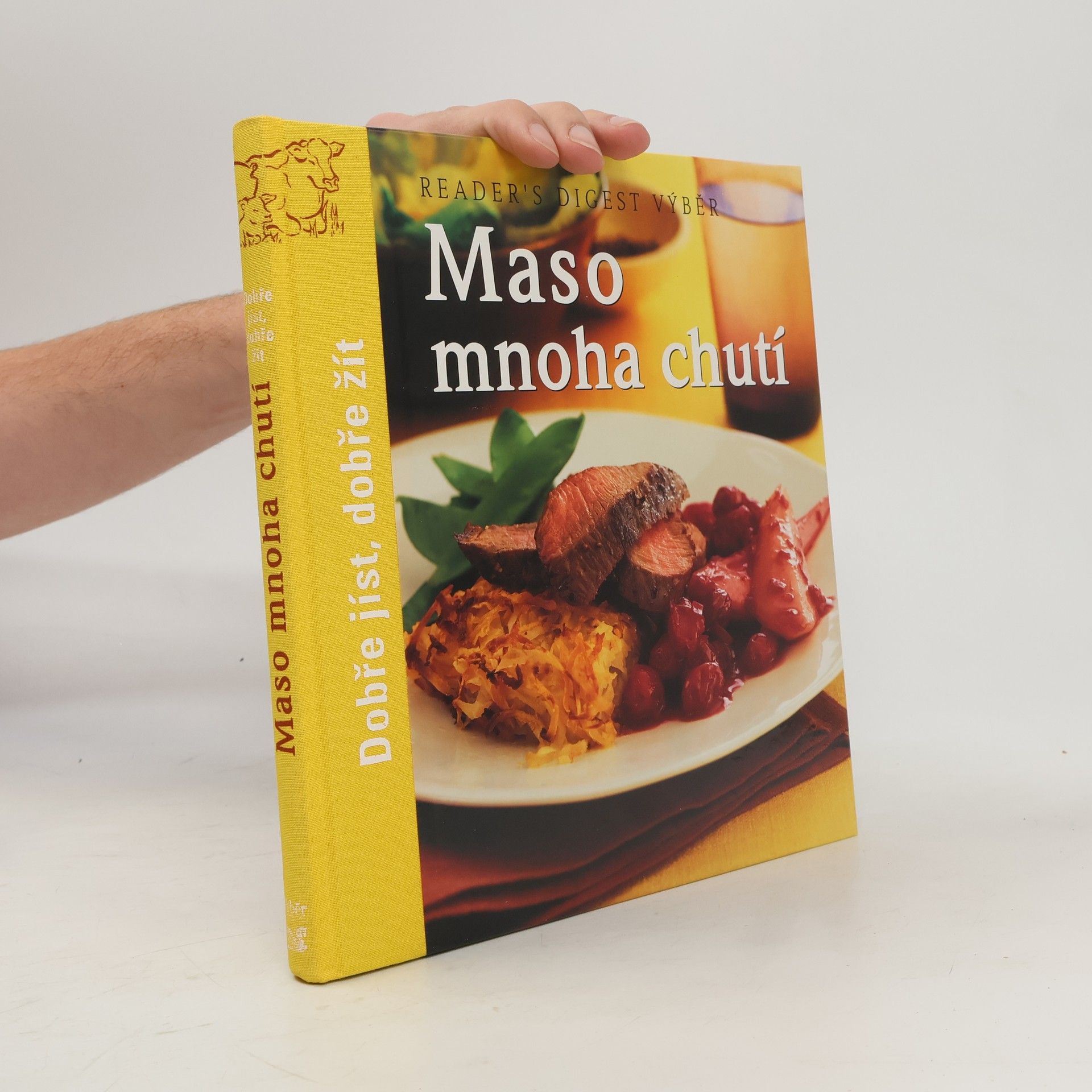 Autorenkollektiv Maso mnoha chutí