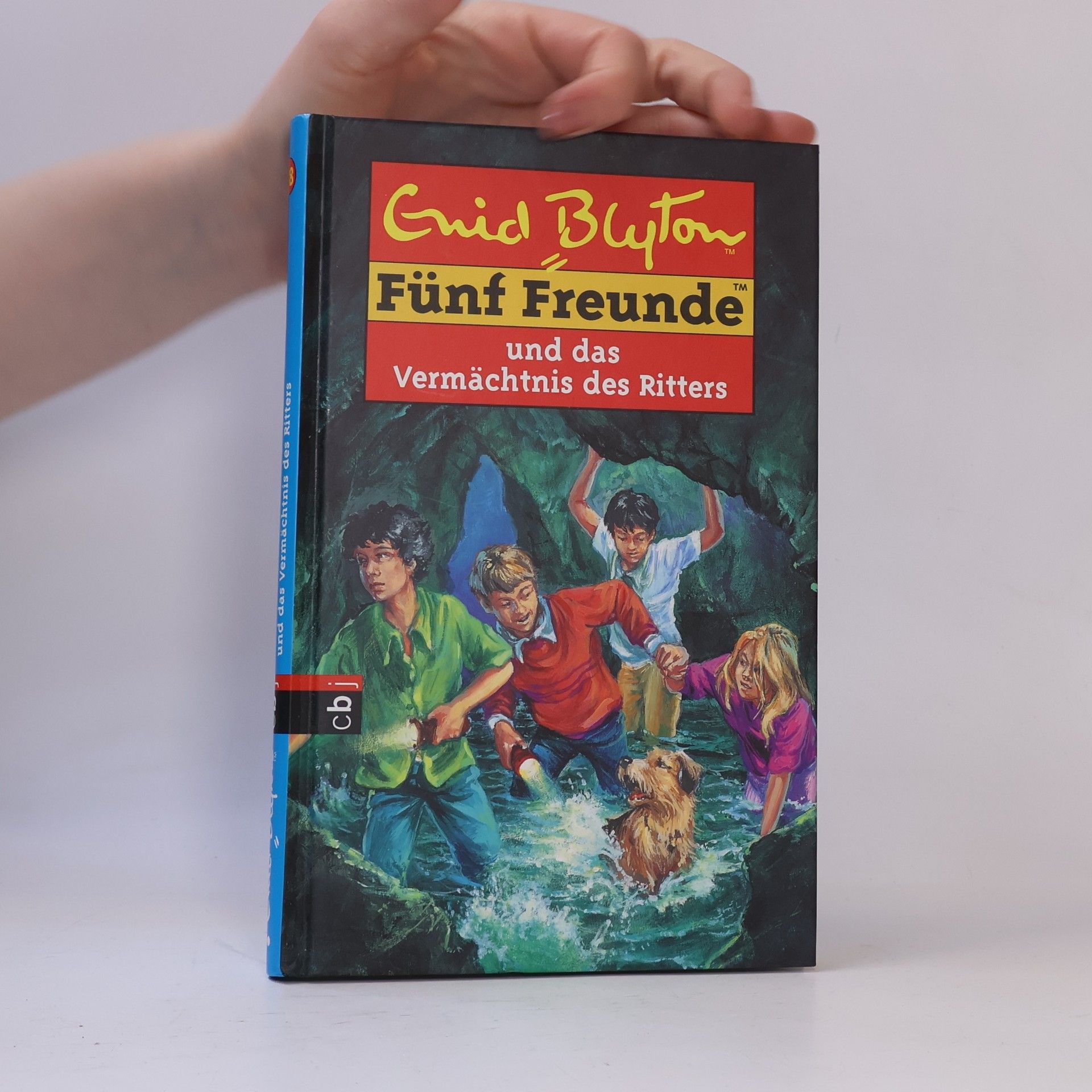 Enid Blyton Fünf Freunde und das Vermächtnis des Ritters