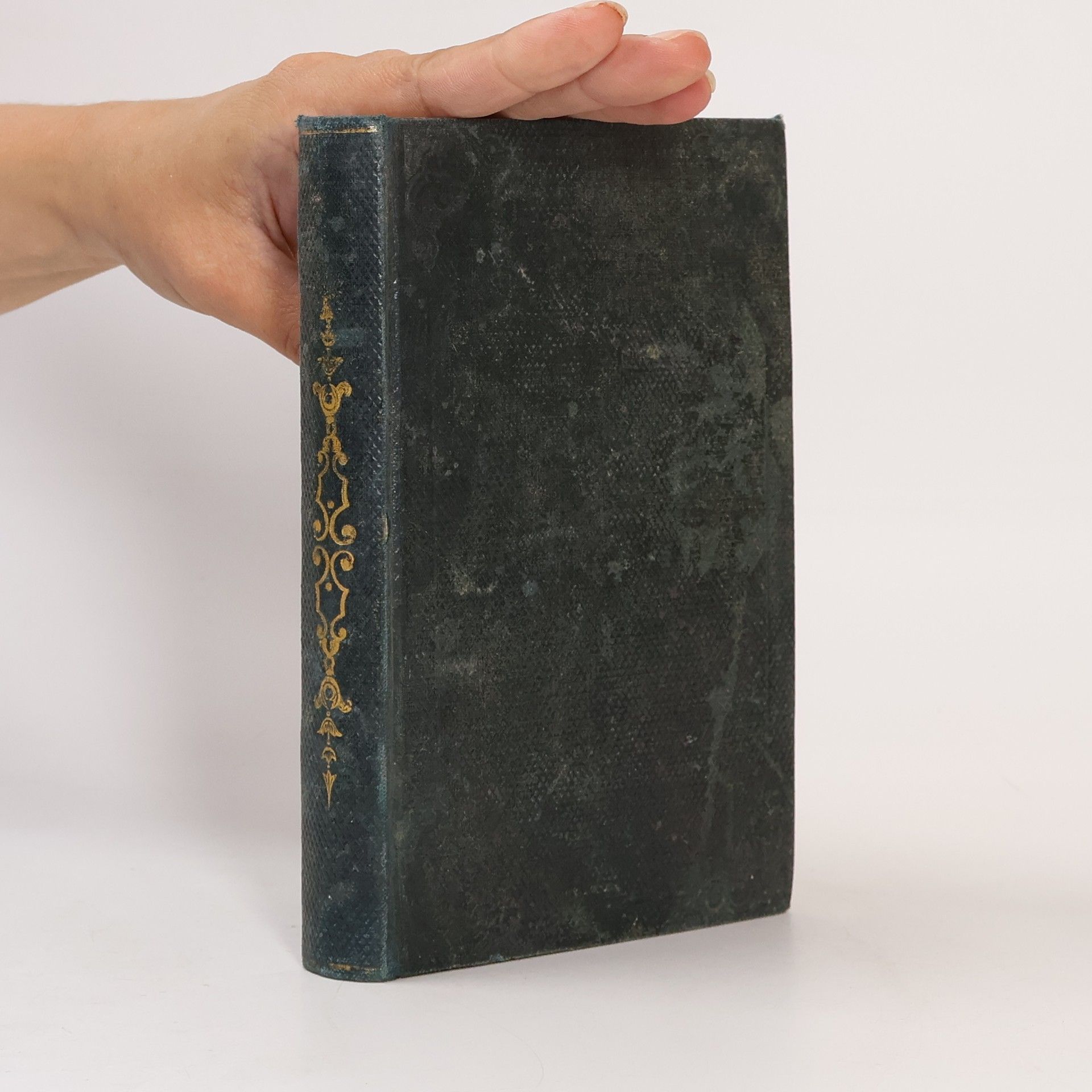 Ernst Renan Geschichte des Anfänge des Christenthums I. Das Leben Jesu