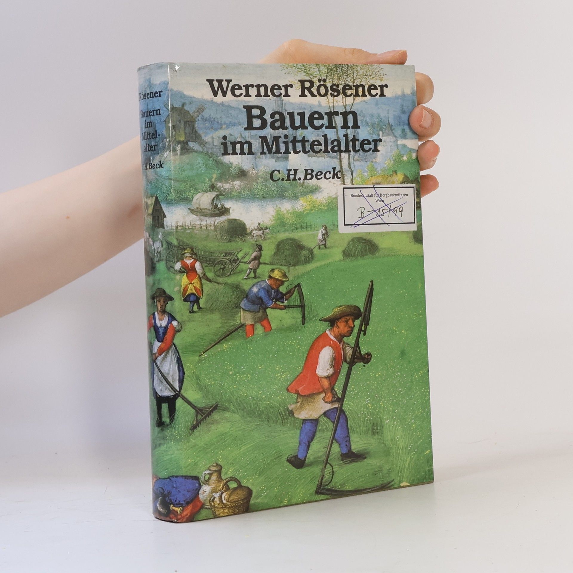 Werner Rösener Bauern im Mittelalter