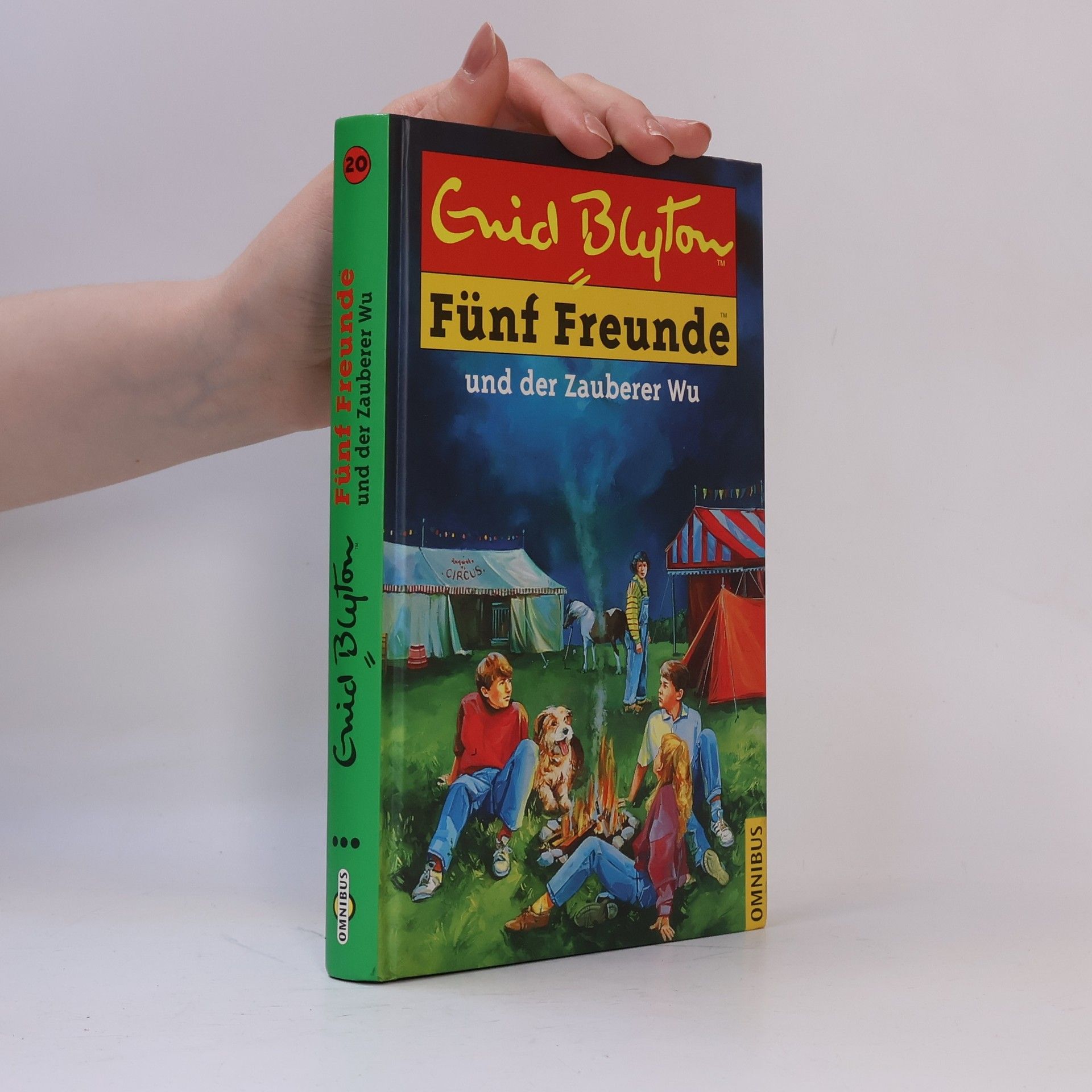 Enid Blyton 5 Freunde und der Zauberer Wu