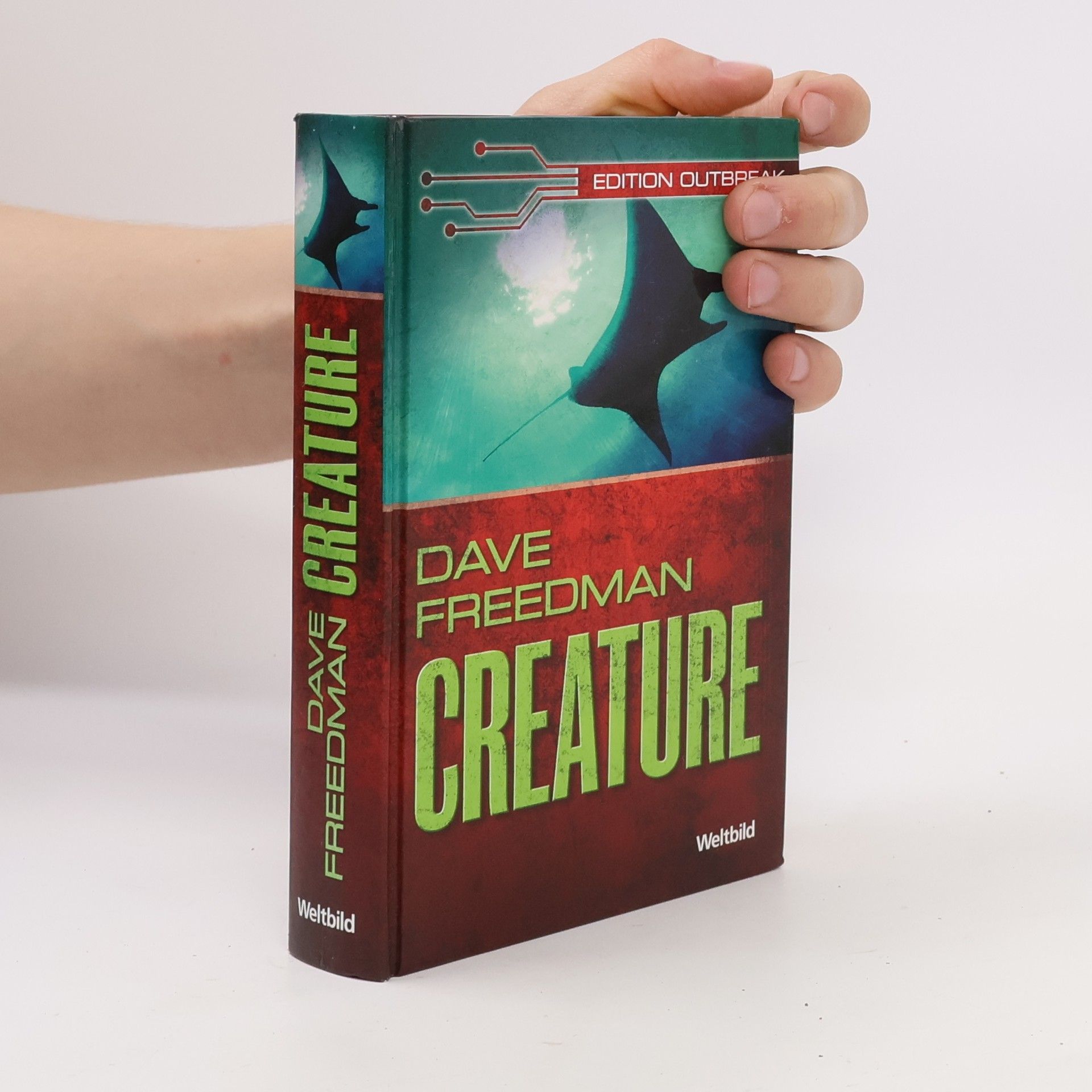 Dave Freedman Creature
