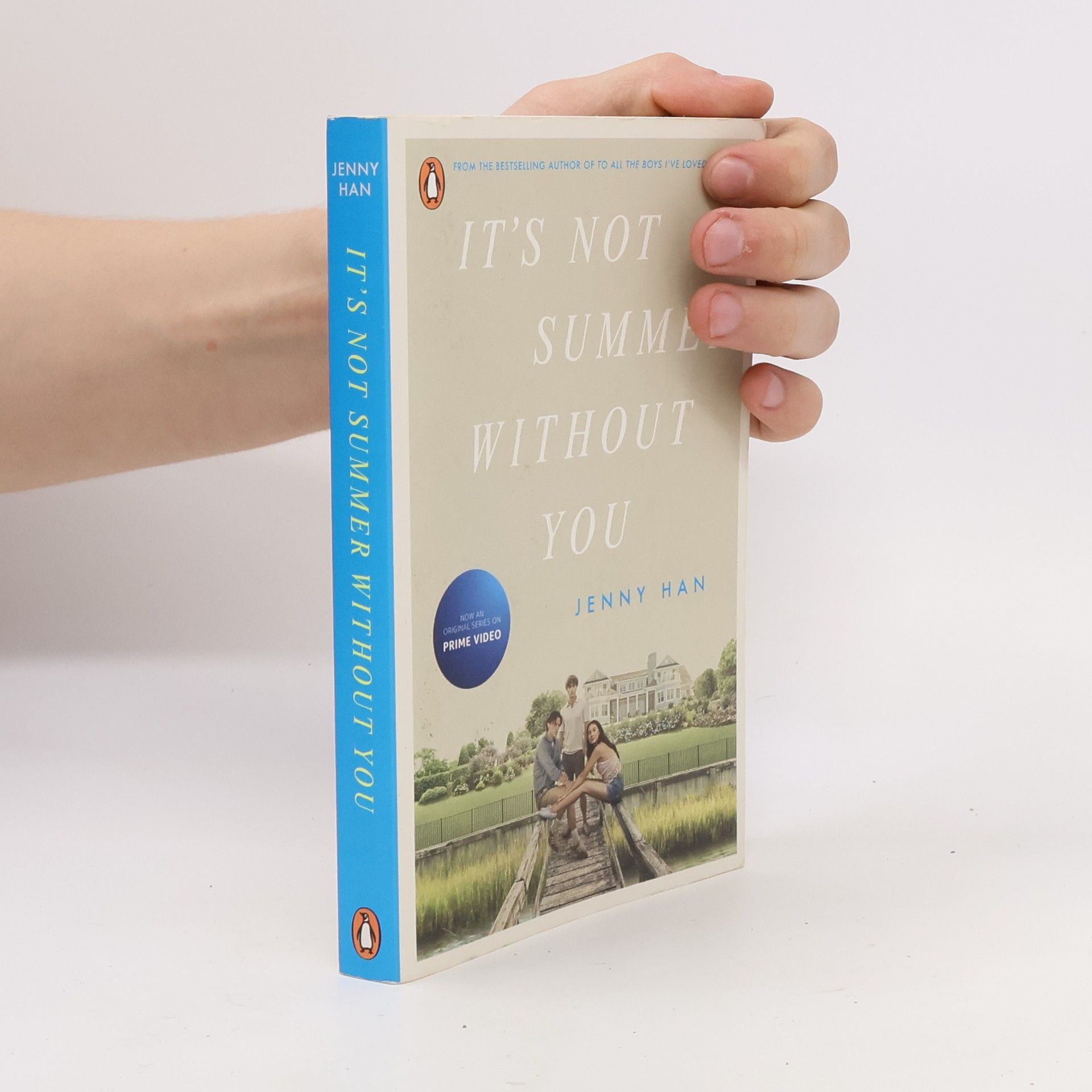 Jenny Han It's Not Summer Without You