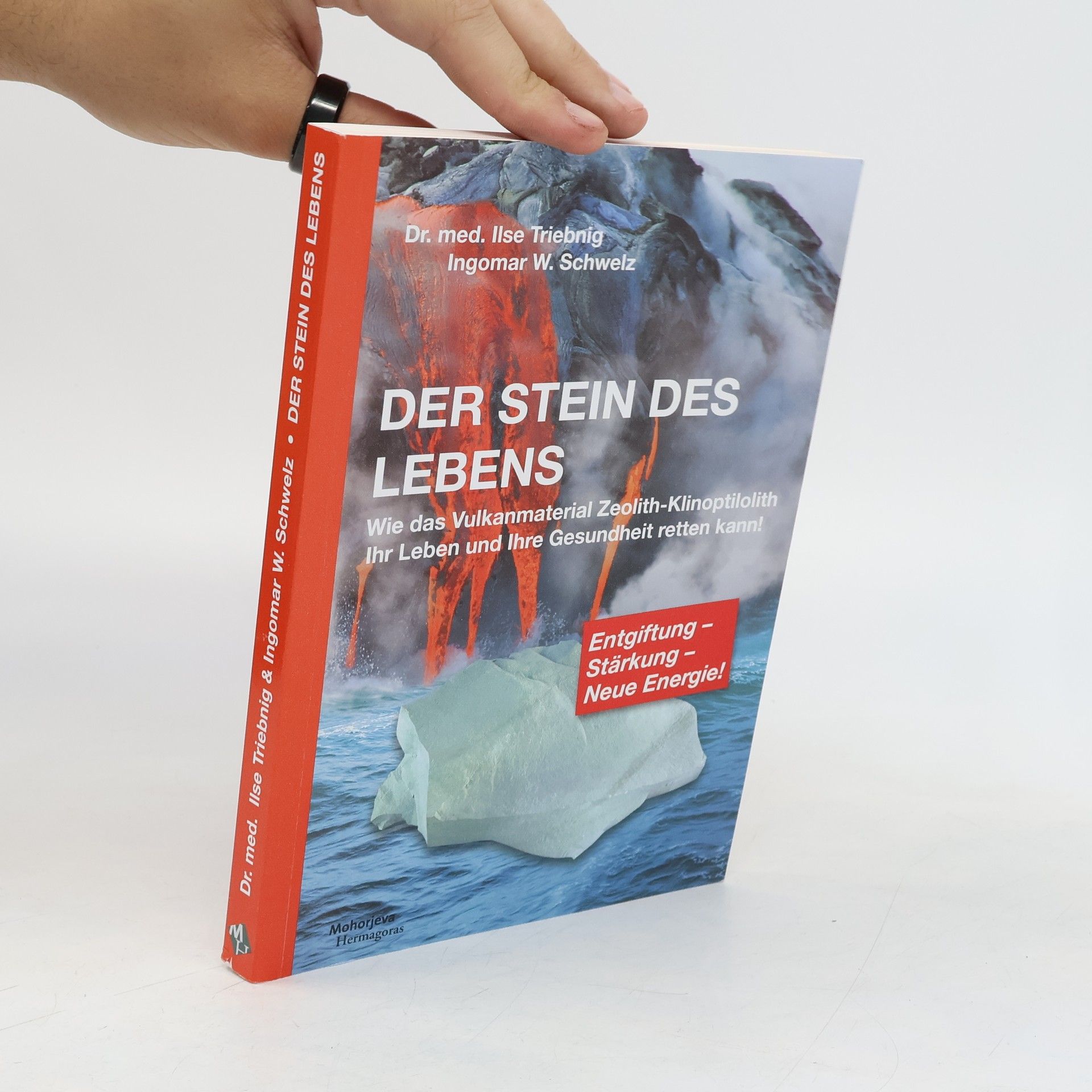 Ilse Triebnig Der Stein des Lebens