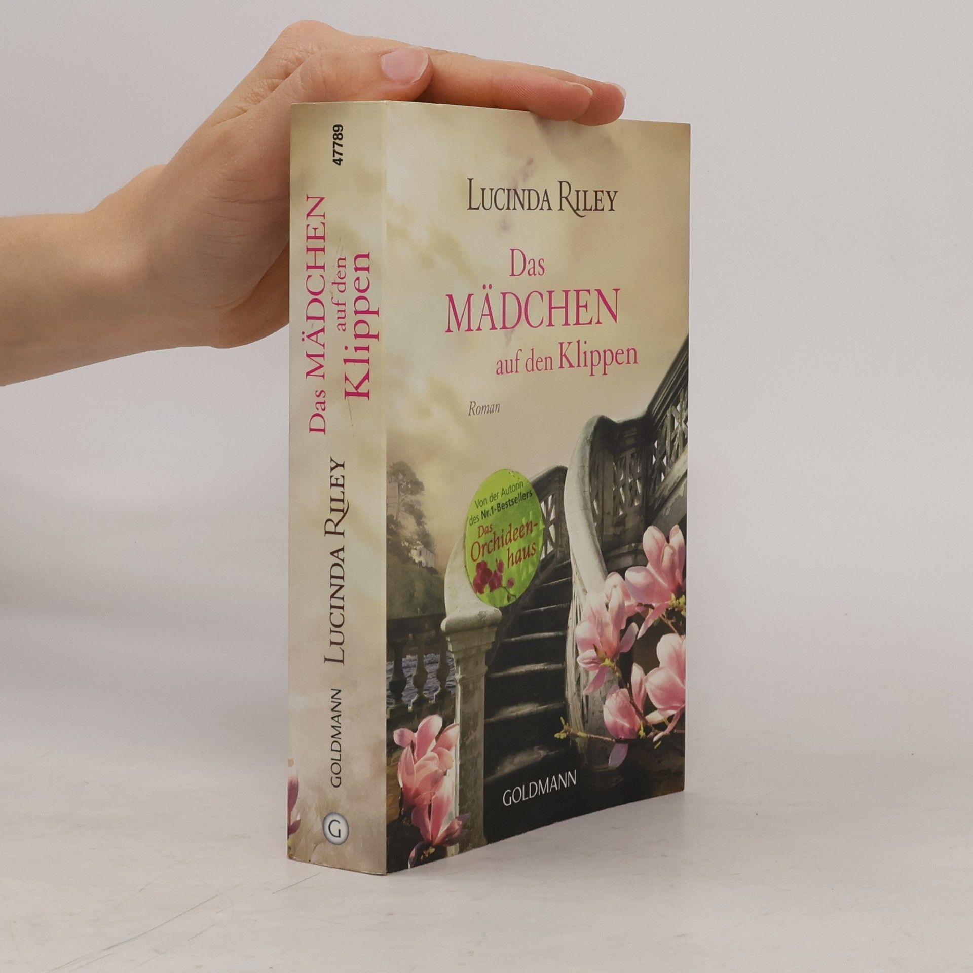 Das Mädchen auf den Klippen