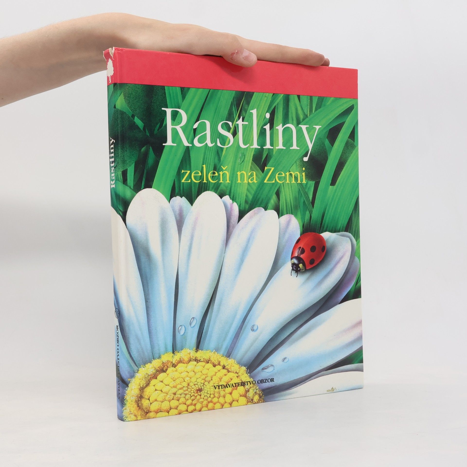 Various authors Rastlinky zeleň na zemi
