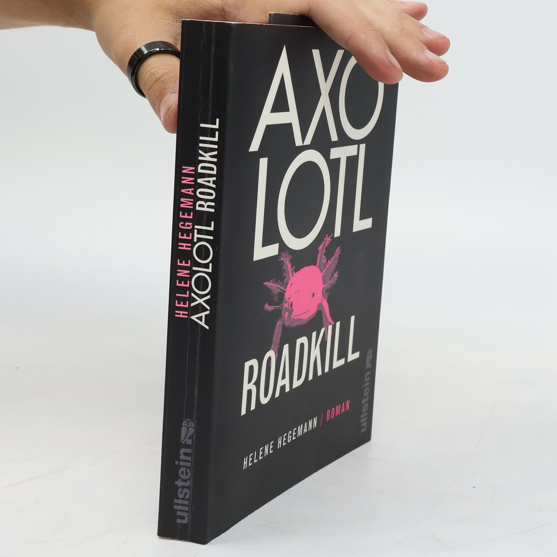 Helene Hegemann Axolotl Roadkill : Roman