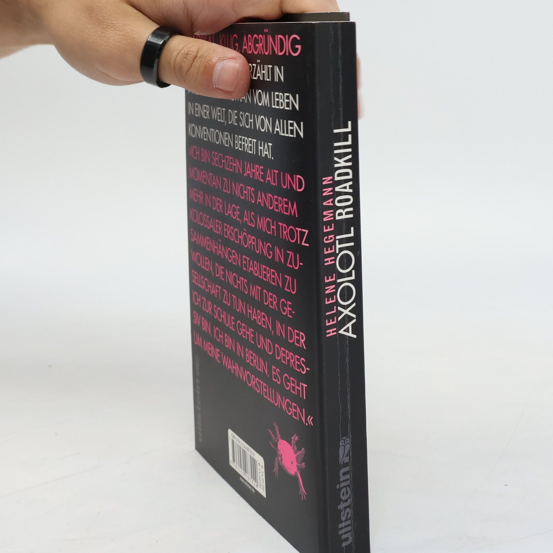 Helene Hegemann Axolotl Roadkill : Roman