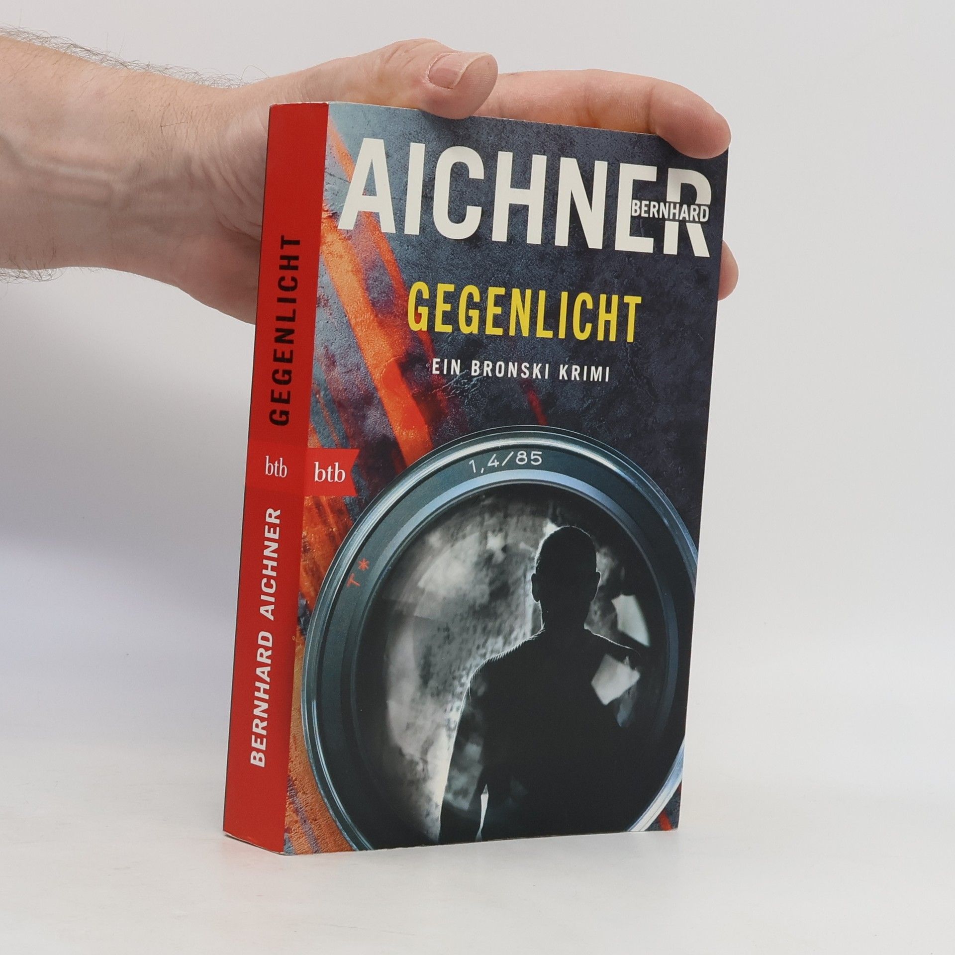 Bernhard Aichner Gegenlicht