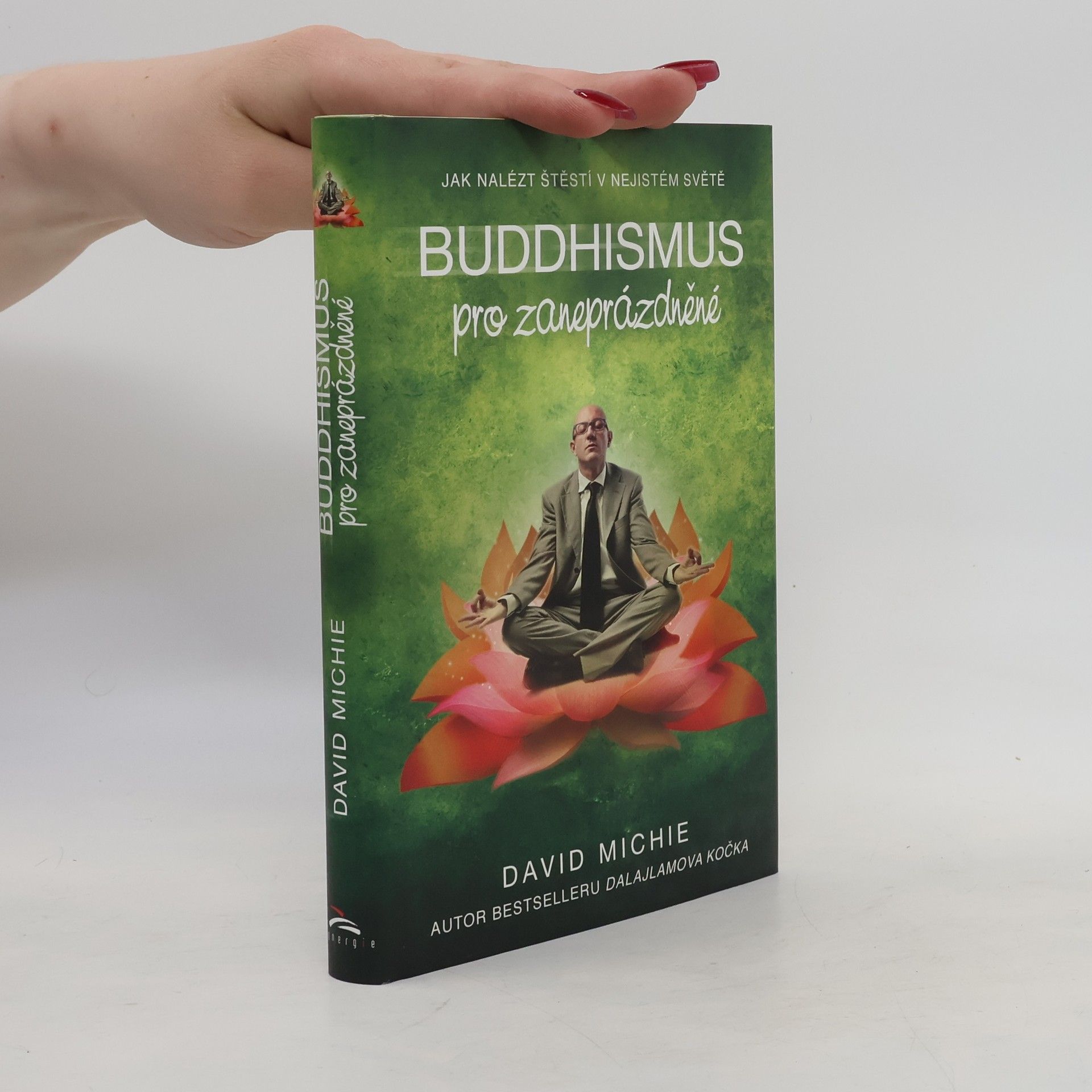 David Michie Buddhismus pro zaneprázdněné