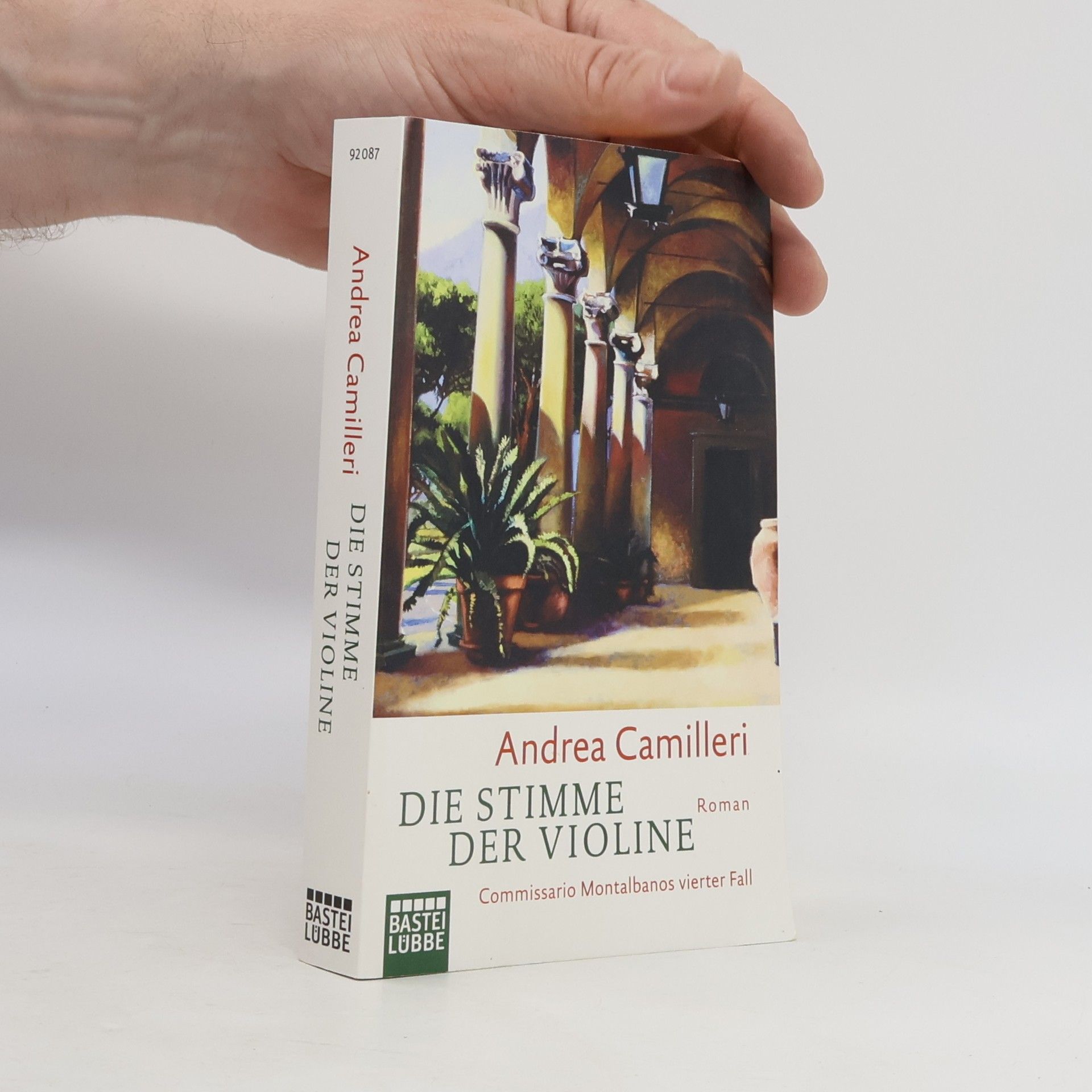 Die Stimme der Violine
