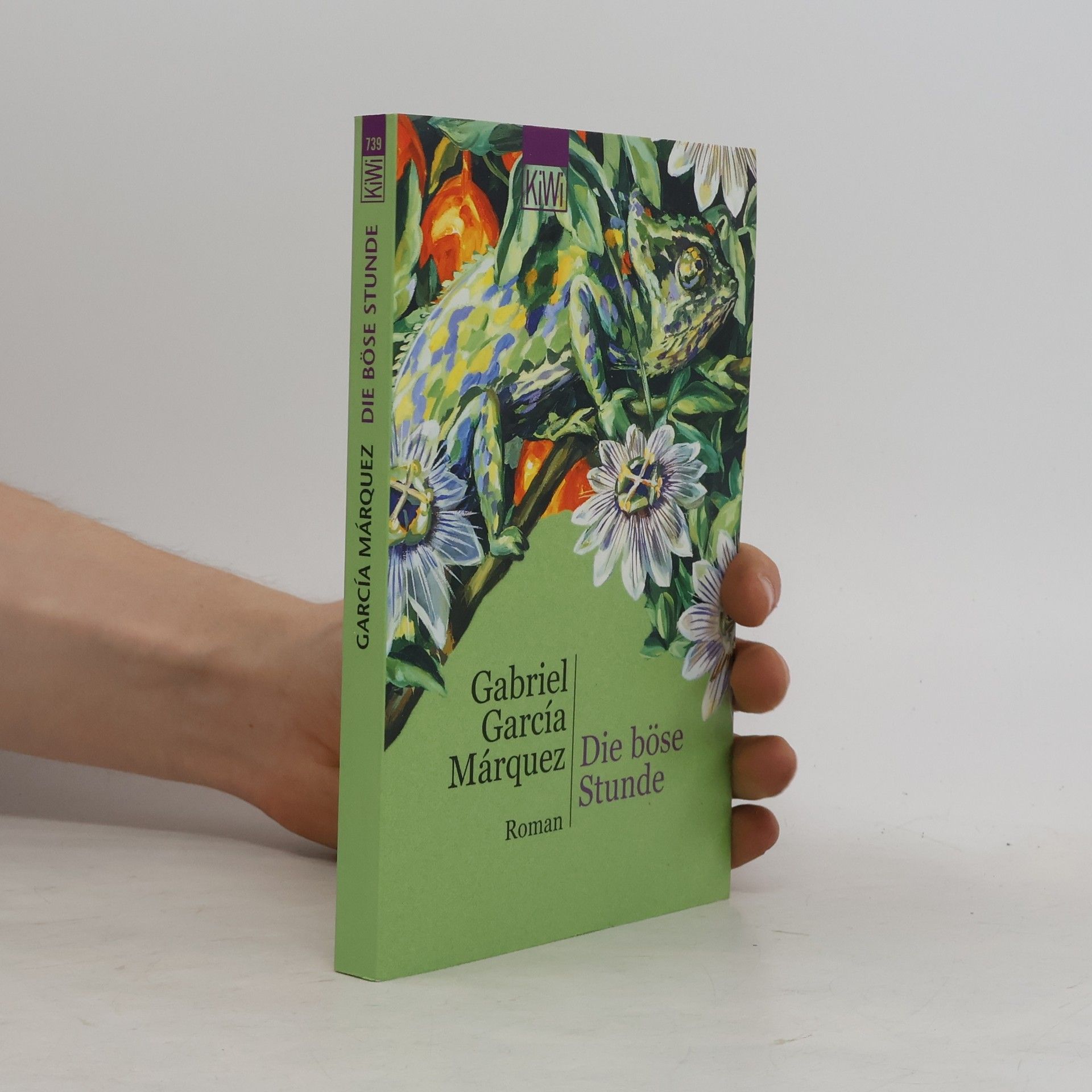 Gabriel García Márquez Die böse Stunde