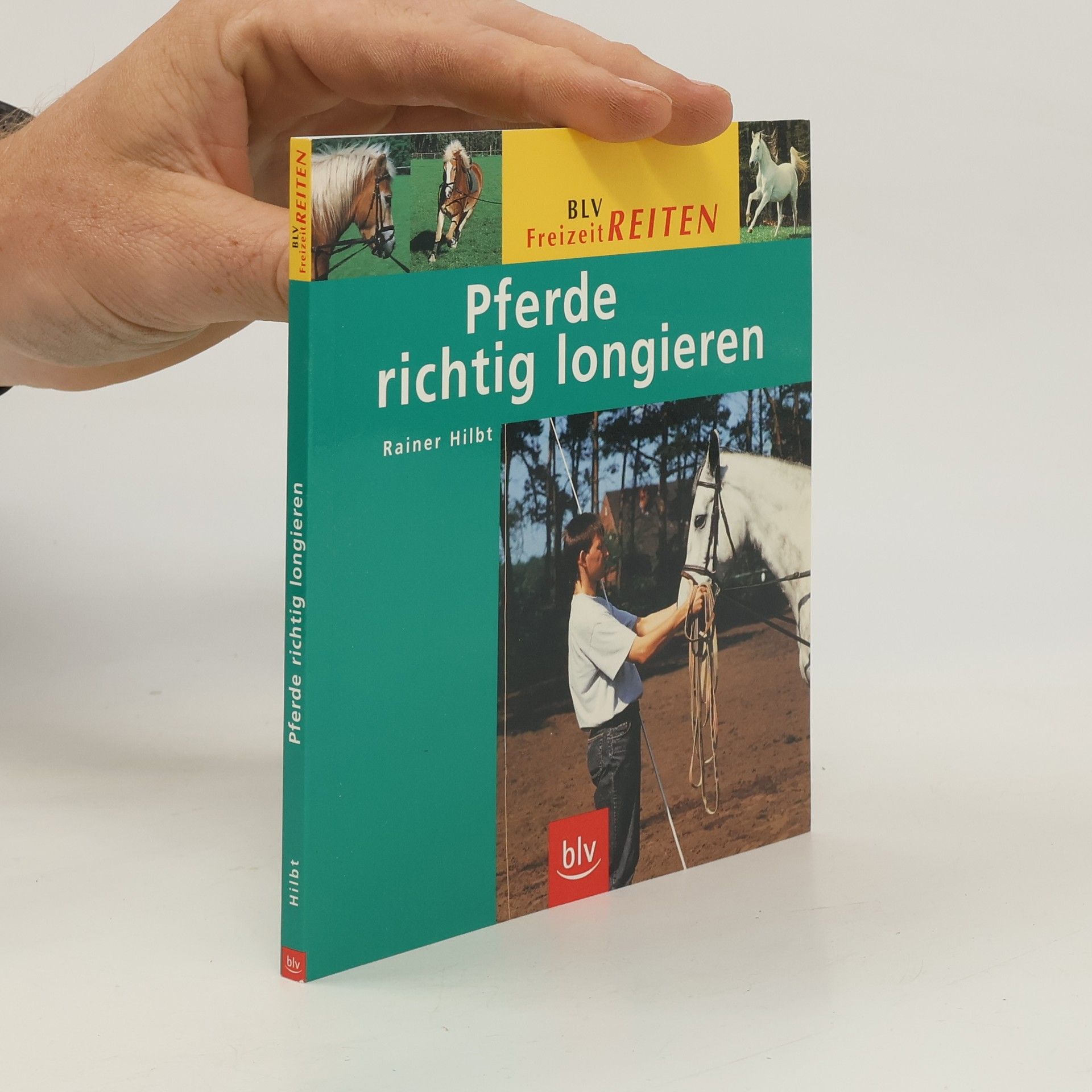 Rainer Hilbt Pferde richtig longieren